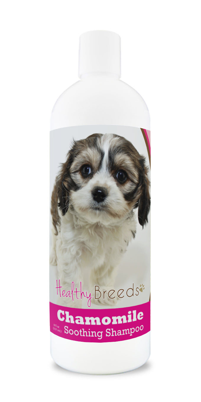 Cavachon Chamomile Soothing Dog Shampoo 8 oz