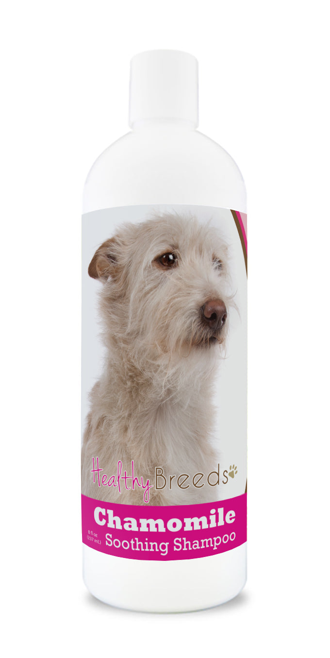 Portuguese Podengo Pequeno Chamomile Soothing Dog Shampoo 8 oz