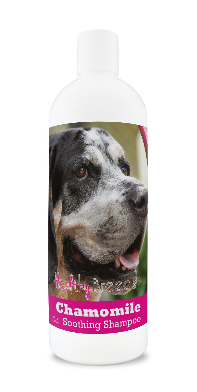 Bluetick Coonhound Chamomile Soothing Dog Shampoo 8 oz