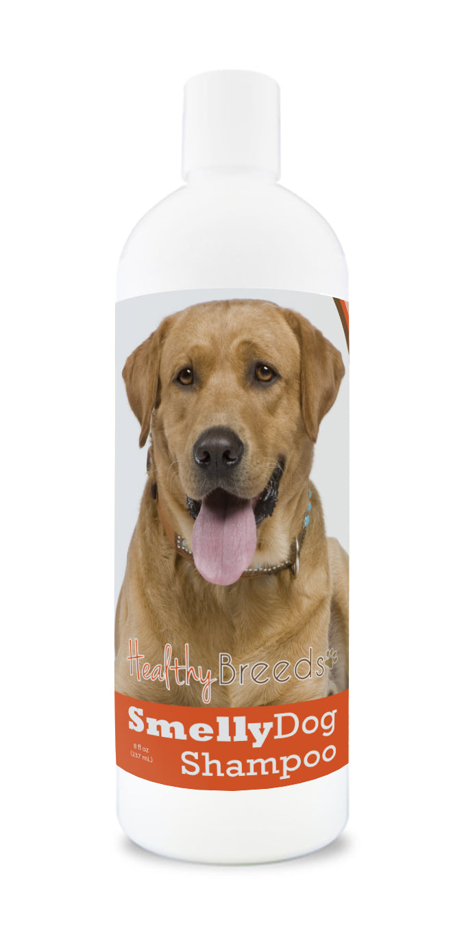 Labrador Retriever Smelly Dog Baking Soda Shampoo 8 oz
