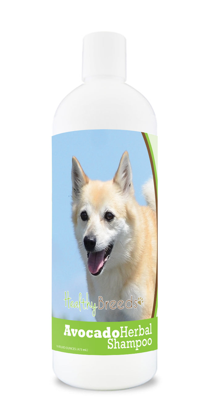 Norwegian Buhund Avocado Herbal Dog Shampoo 16 oz