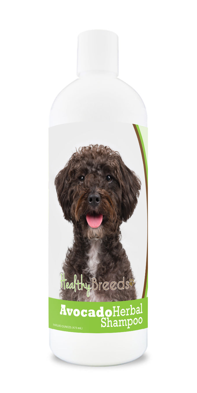 Schnoodle Avocado Herbal Dog Shampoo 16 oz