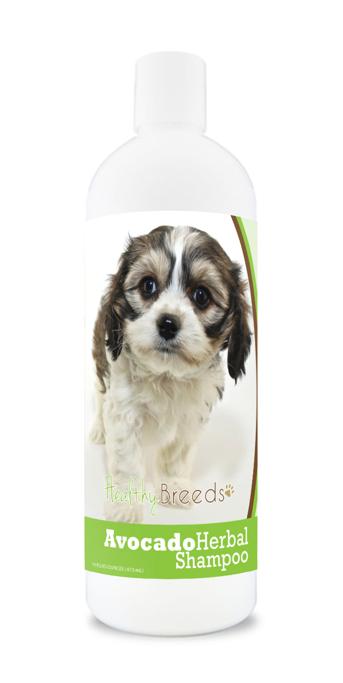 Cavachon Avocado Herbal Dog Shampoo 16 oz