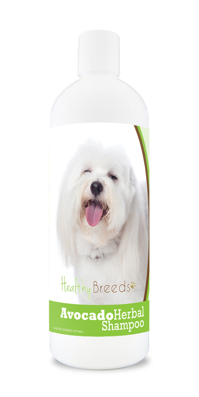 Coton de Tulear Avocado Herbal Dog Shampoo 16 oz