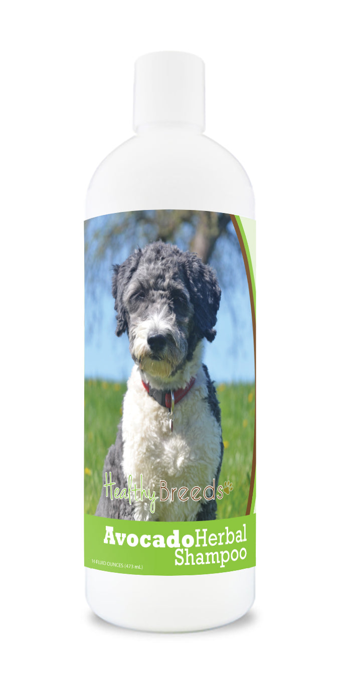 Aussiedoodle Avocado Herbal Dog Shampoo 16 oz
