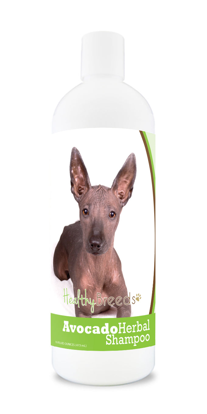Xoloitzcuintli Avocado Herbal Dog Shampoo 16 oz