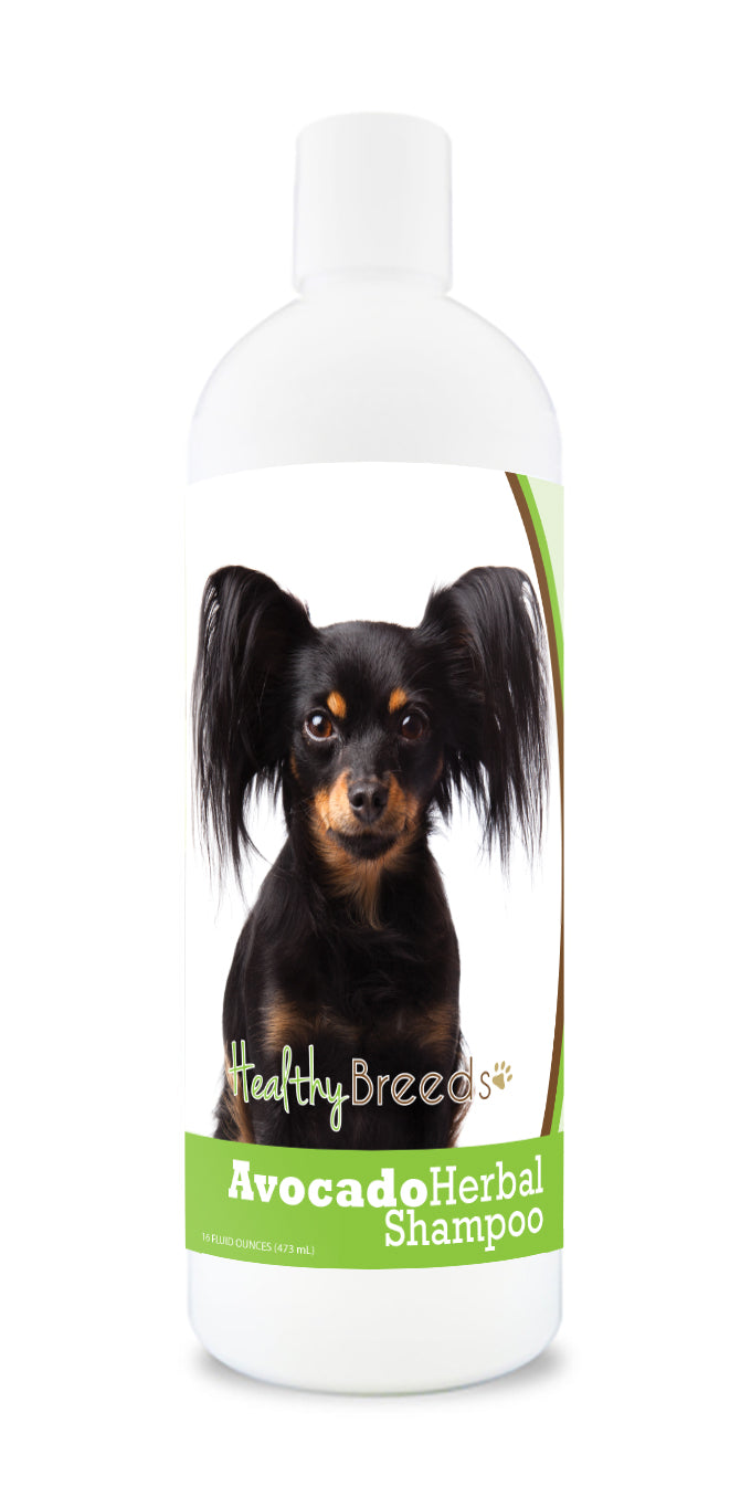 Russian Toy Terrier Avocado Herbal Dog Shampoo 16 oz
