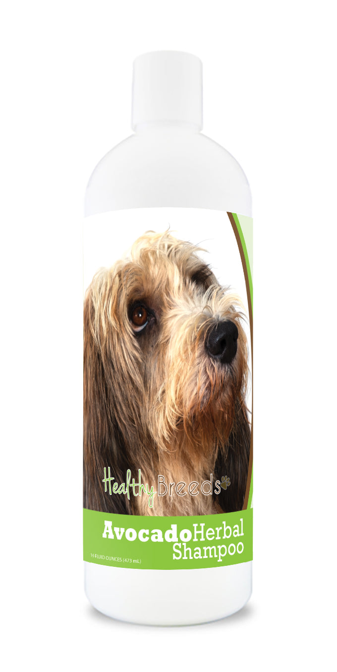 Petits Bassets Griffons Vendeen Avocado Herbal Dog Shampoo 16 oz