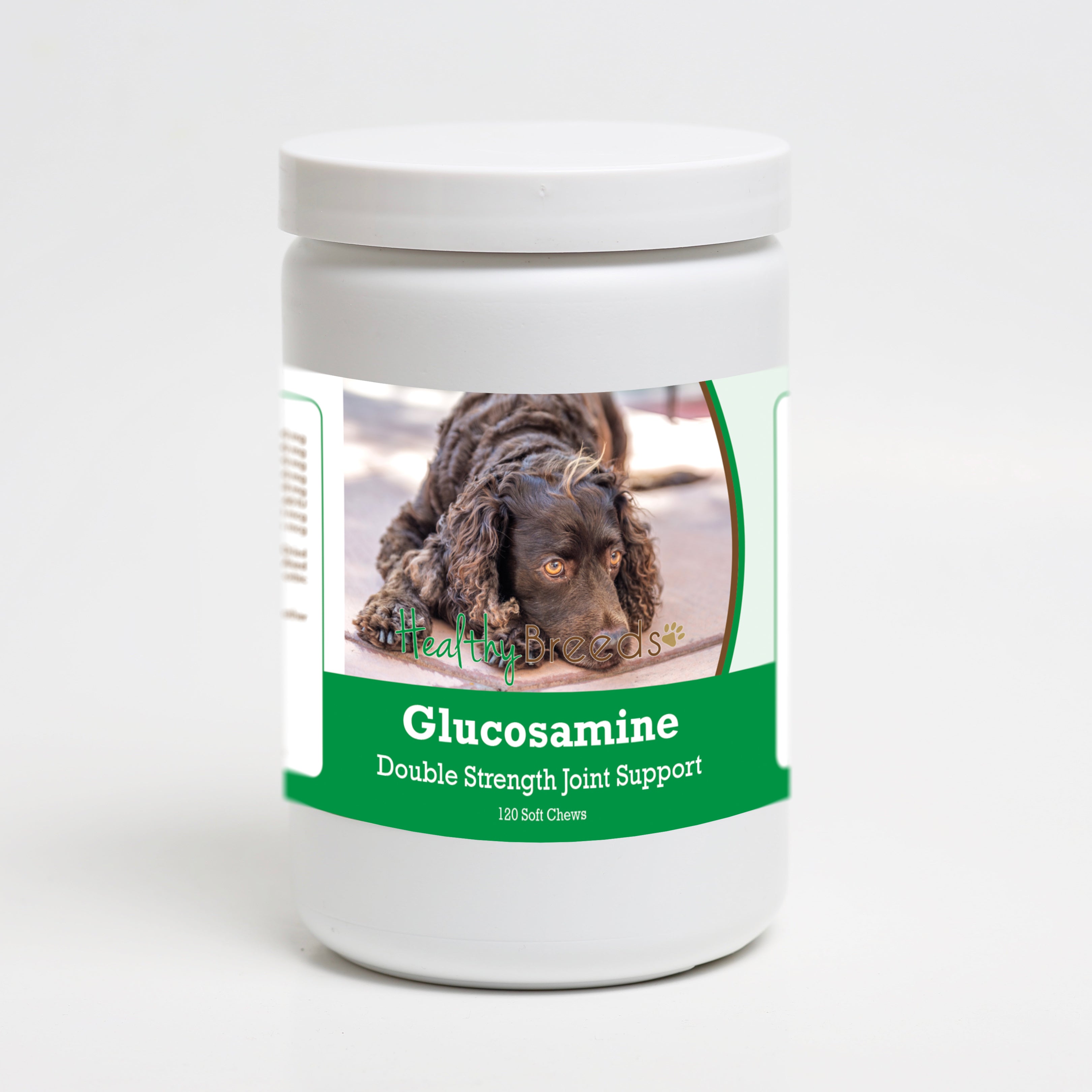 American Water Spaniel Glucosamine DS Plus MSM 120 Count