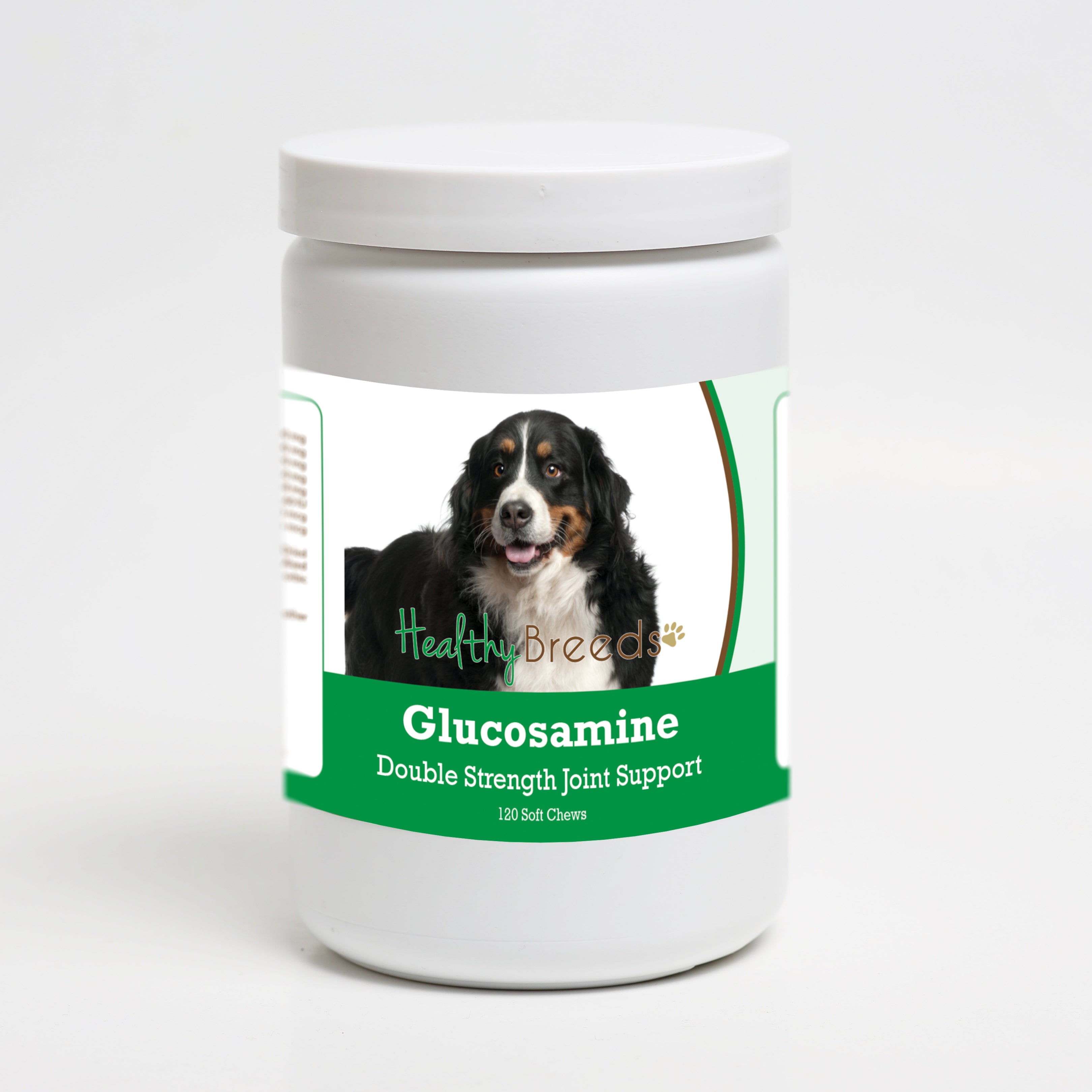 Bernese Mountain Dog Glucosamine DS Plus MSM 120 Count