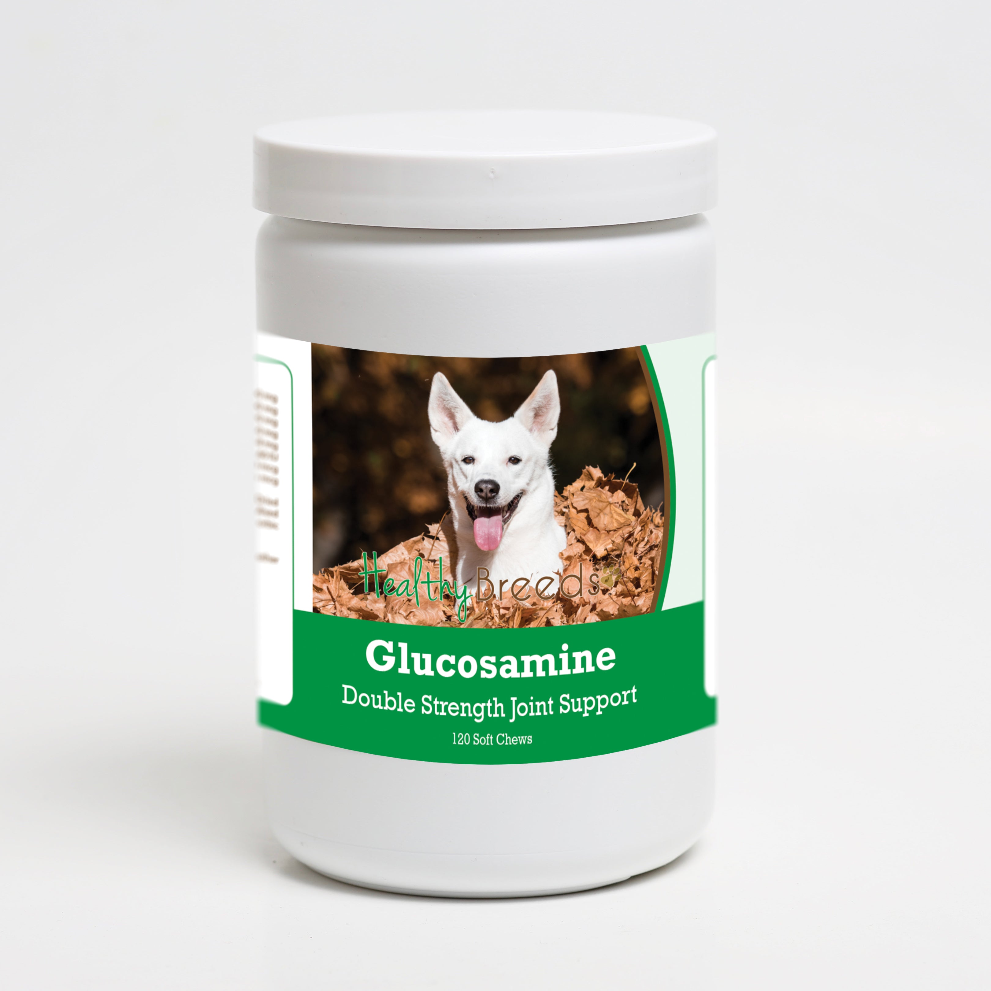 Canaan Dog Glucosamine DS Plus MSM 120 Count