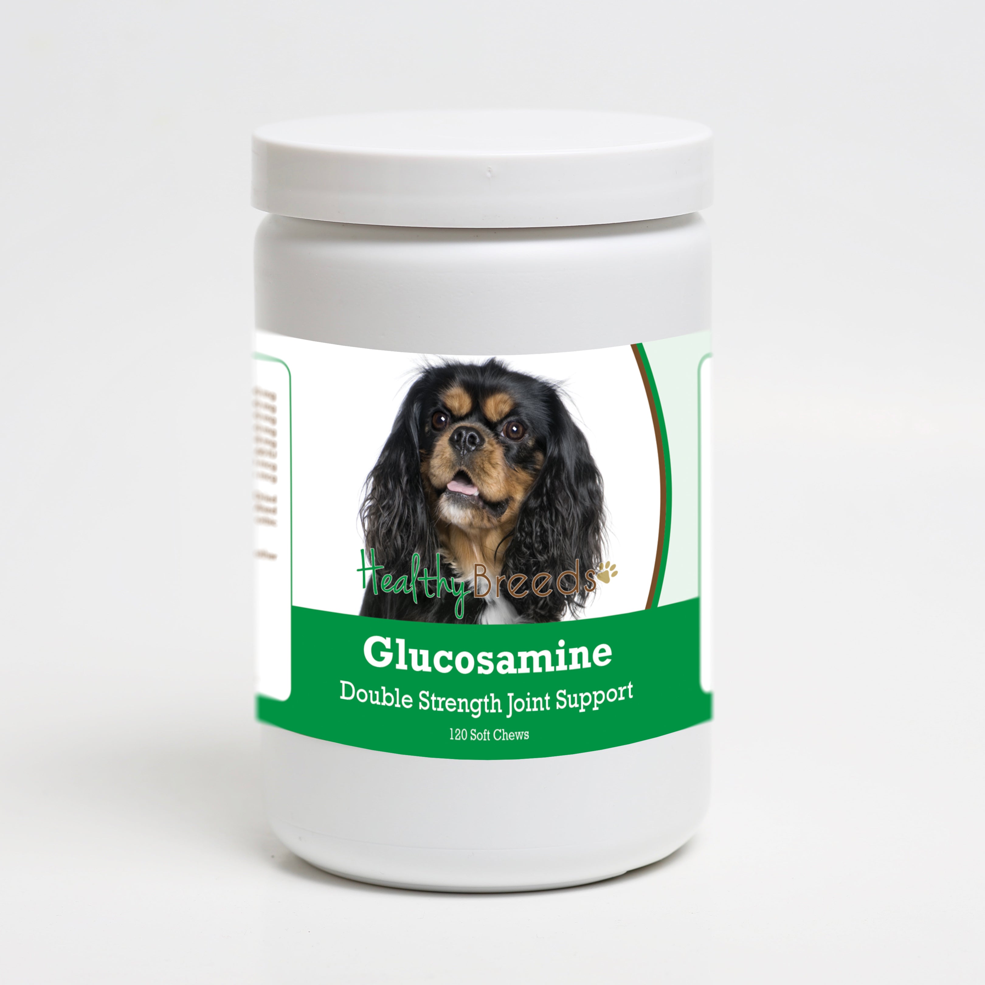 Cavalier King Charles Spaniel Glucosamine DS Plus MSM 120 Count