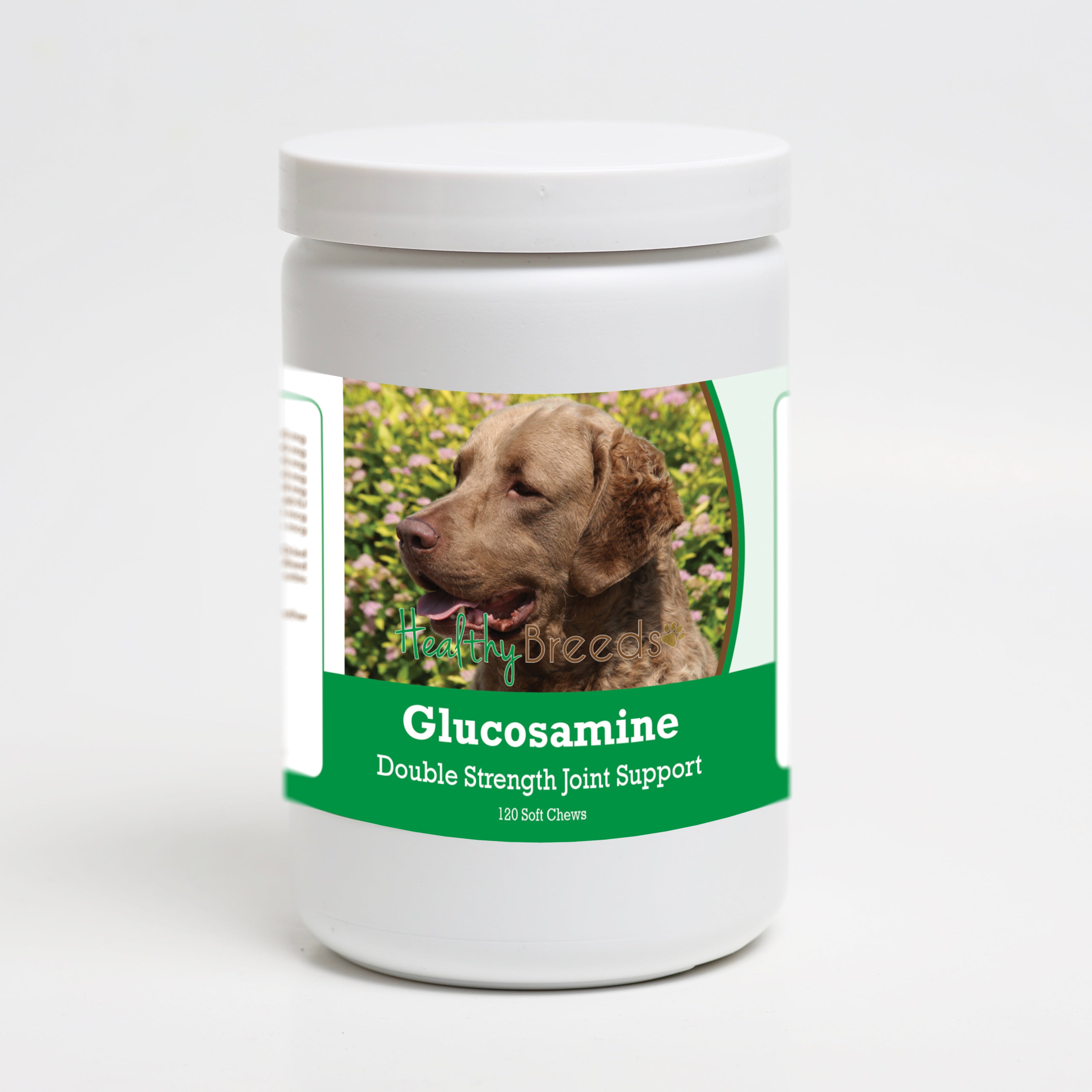Chesapeake Bay Retriever Glucosamine DS Plus MSM 120 Count