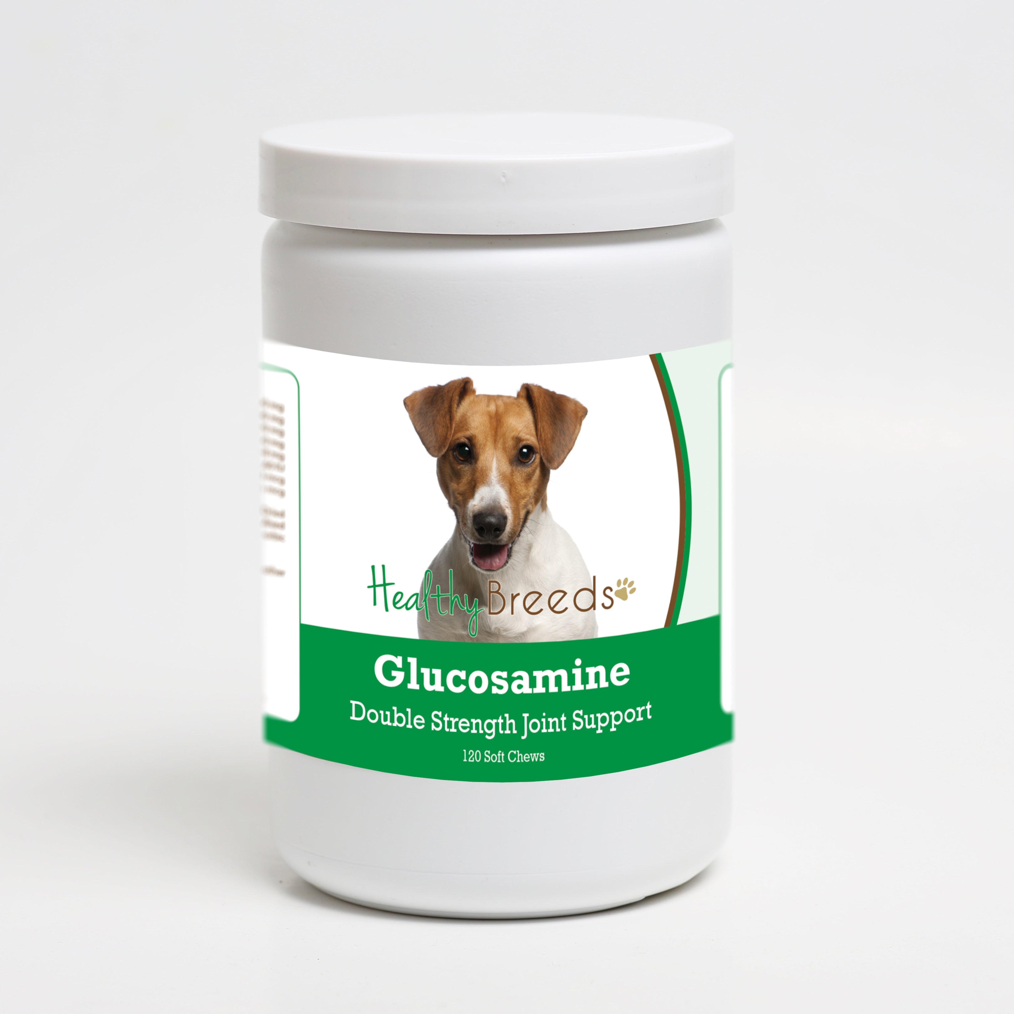 Jack Russell Terrier Glucosamine DS Plus MSM 120 Count