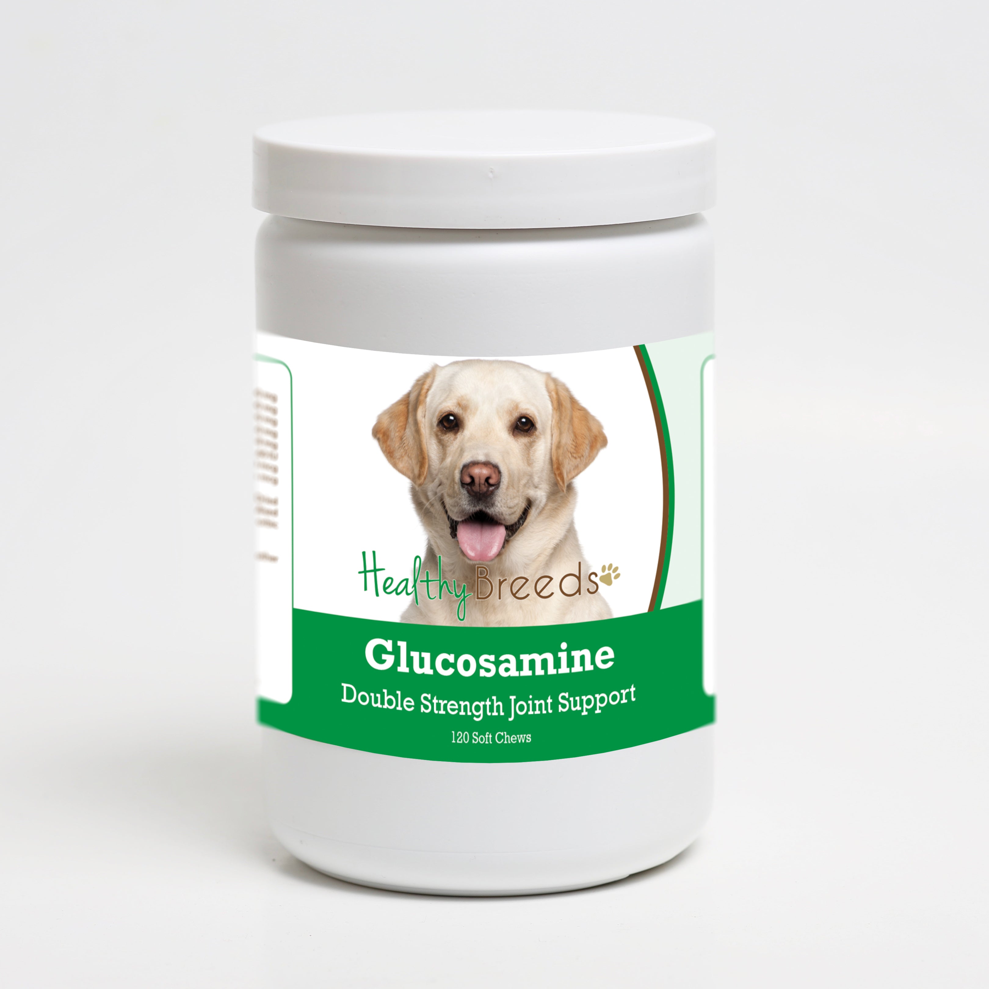 Labrador Retriever Glucosamine DS Plus MSM 120 Count