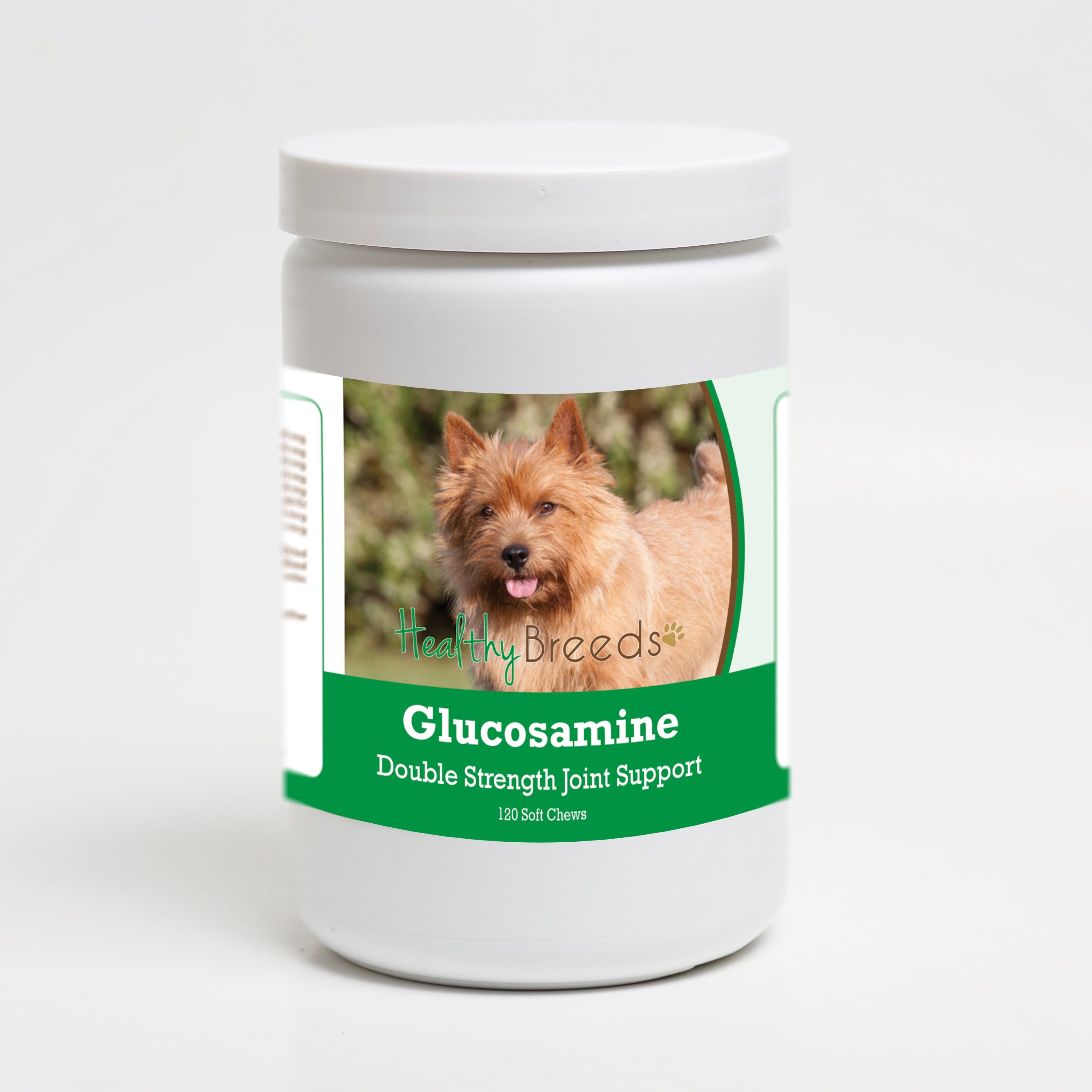 Norwich Terrier Glucosamine DS Plus MSM 120 Count