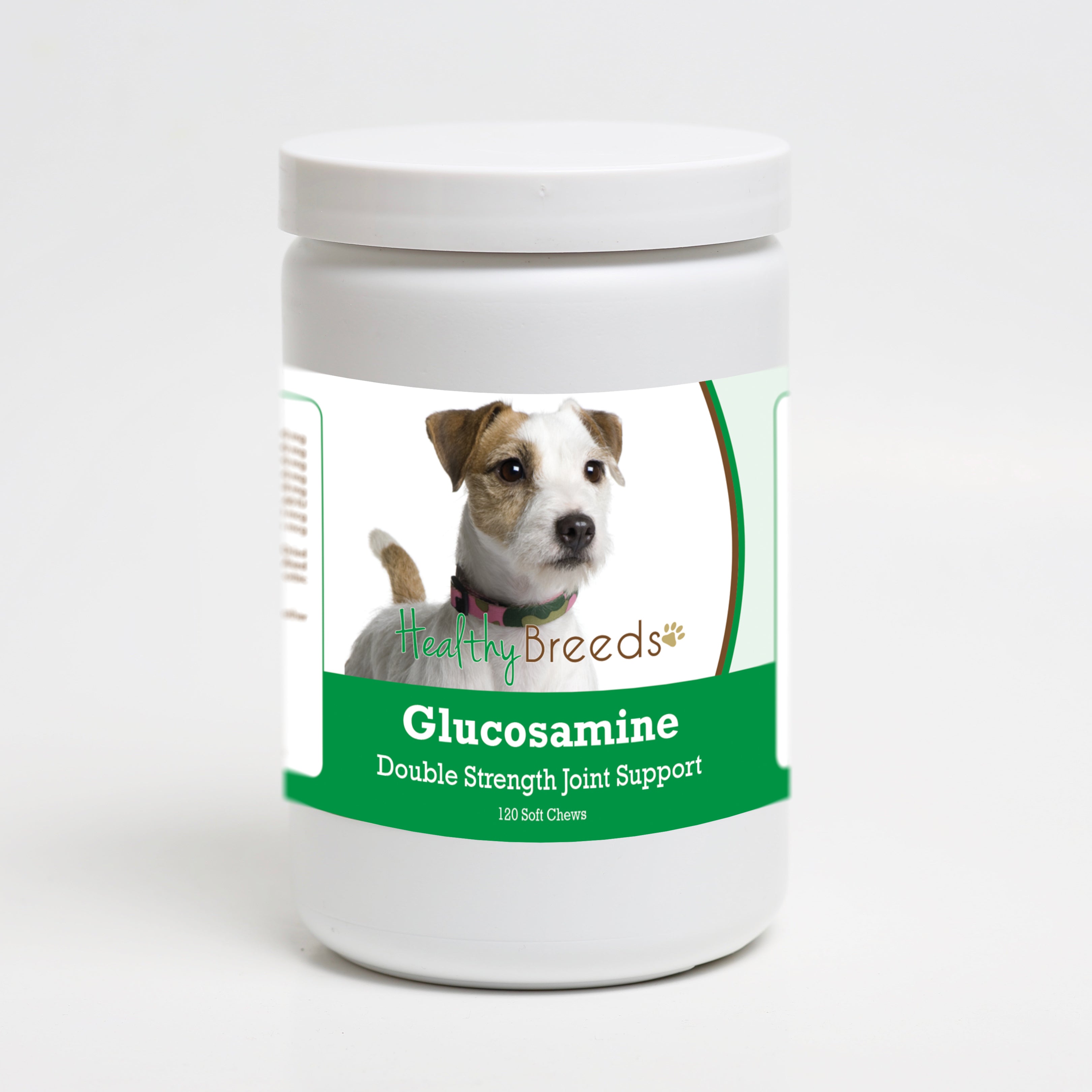 Parson Russell Terrier Glucosamine DS Plus MSM 120 Count