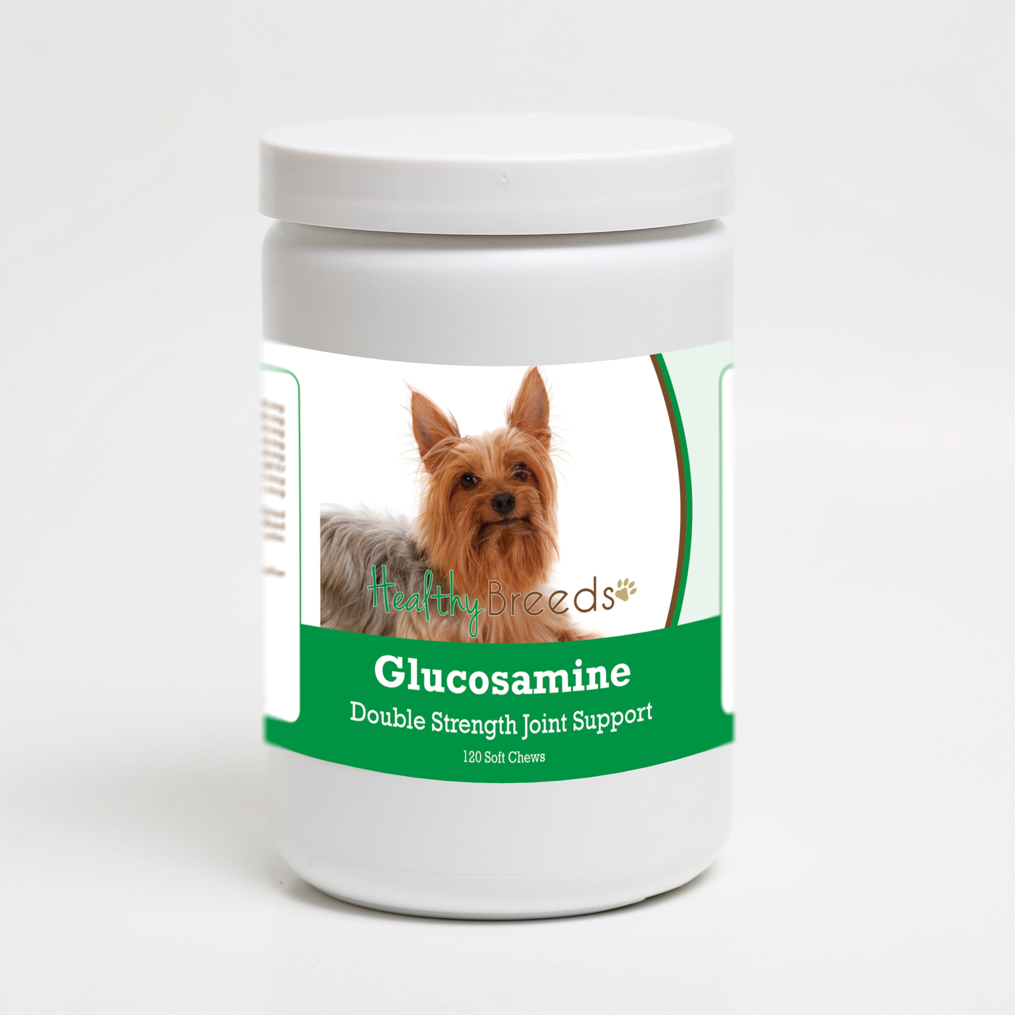 Silky Terrier Glucosamine DS Plus MSM 120 Count