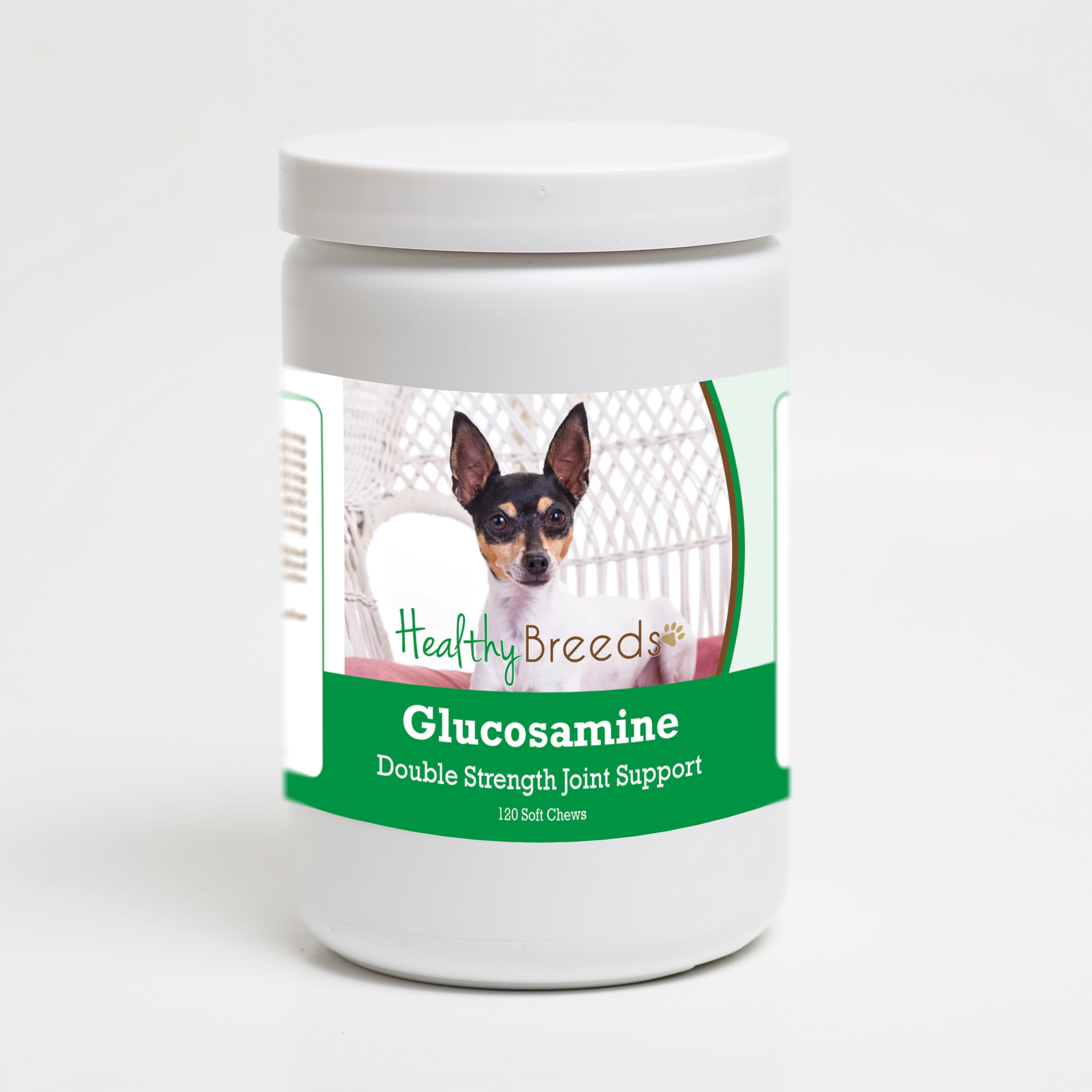 Toy Fox Terrier Glucosamine DS Plus MSM 120 Count