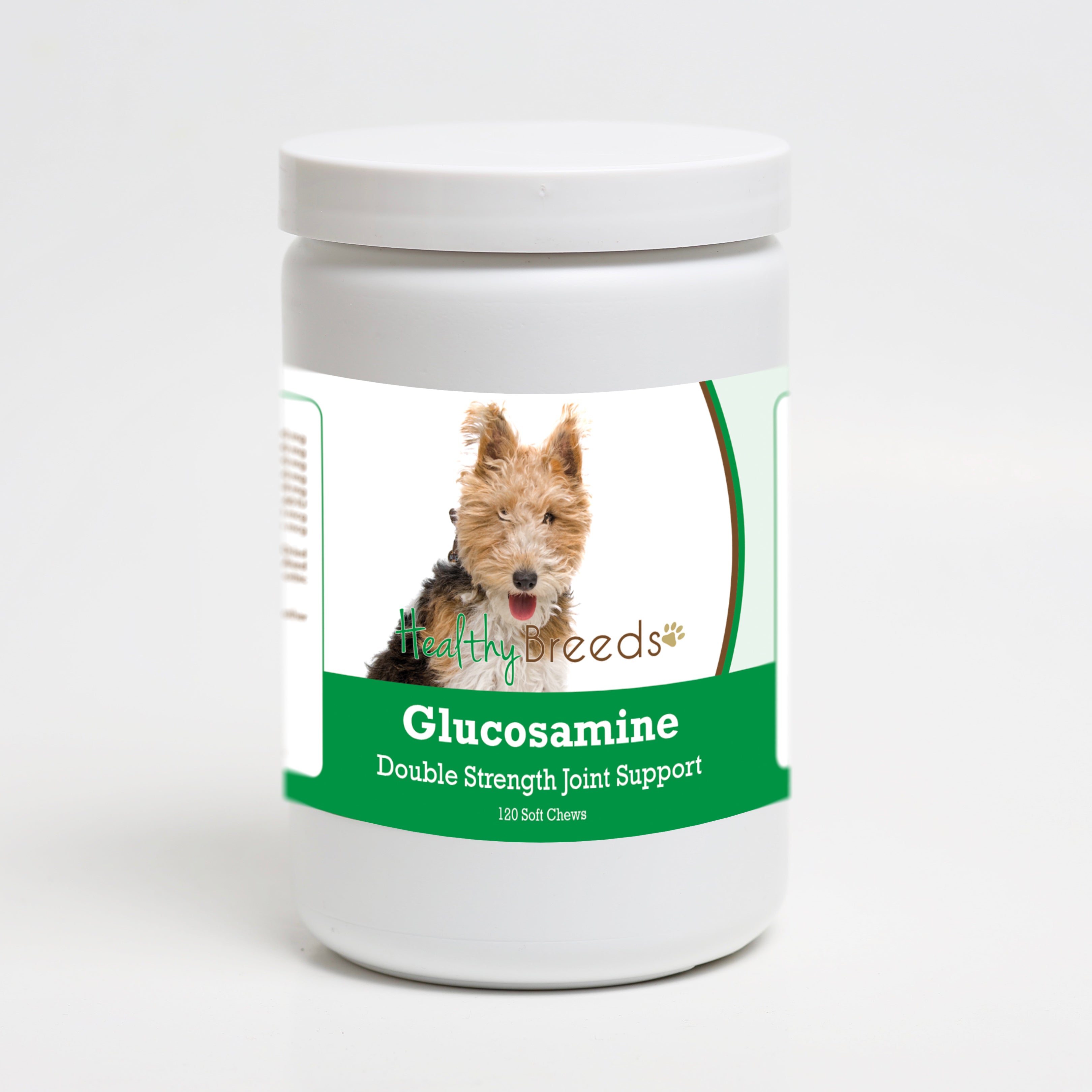 Wire Fox Terrier Glucosamine DS Plus MSM 120 Count