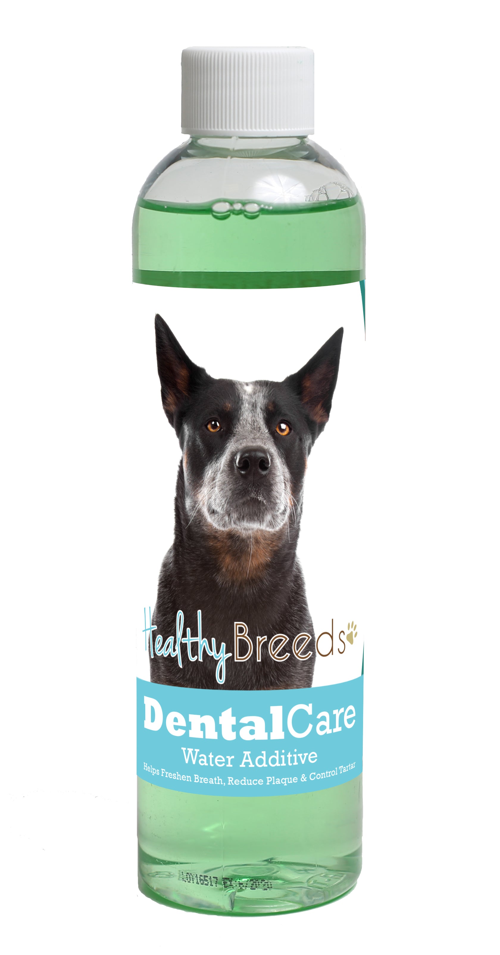 Australian Cattle Dog Dental Rinse for Dogs 8 oz