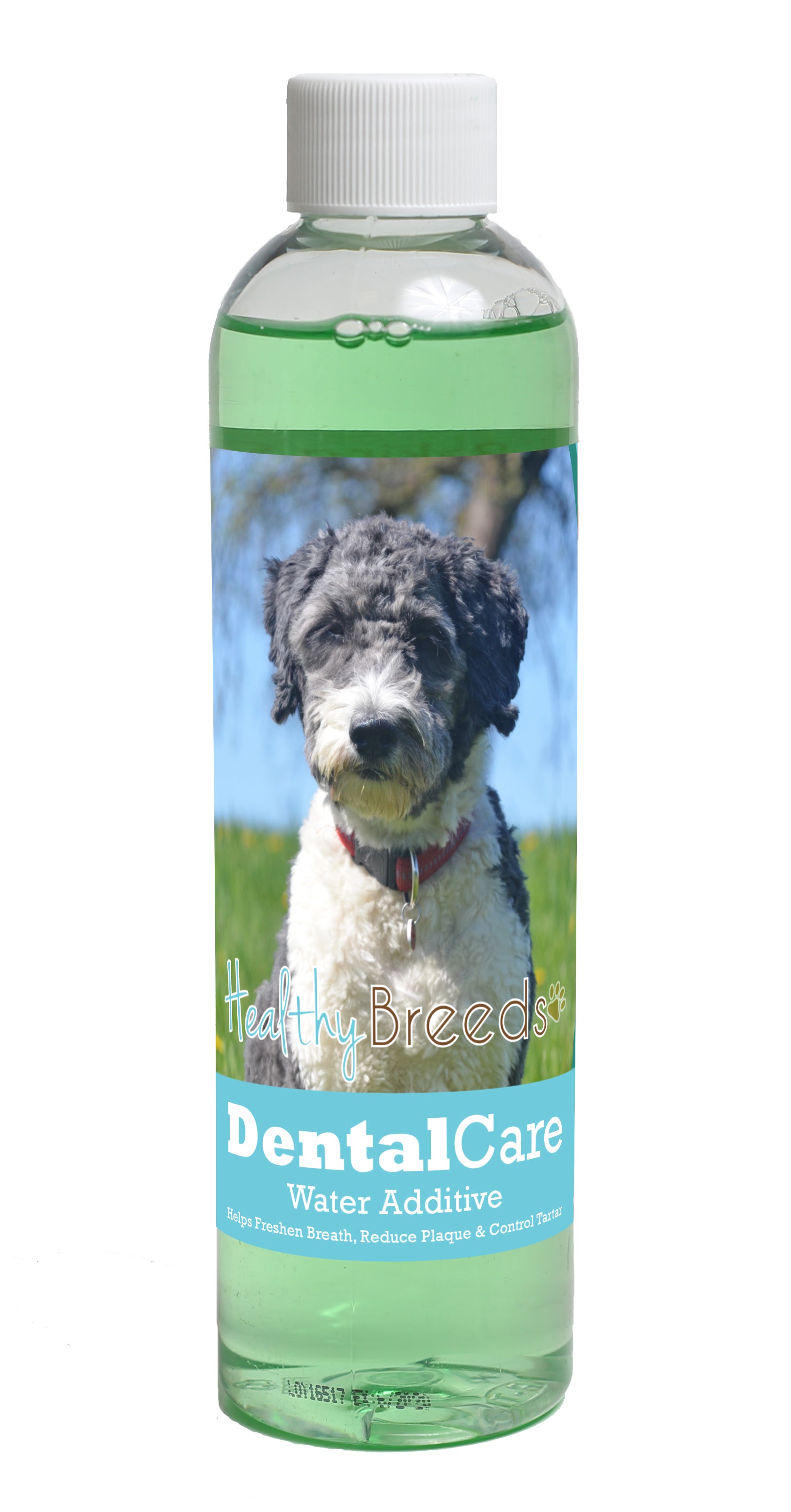 Aussiedoodle Dental Rinse for Dogs 8 oz