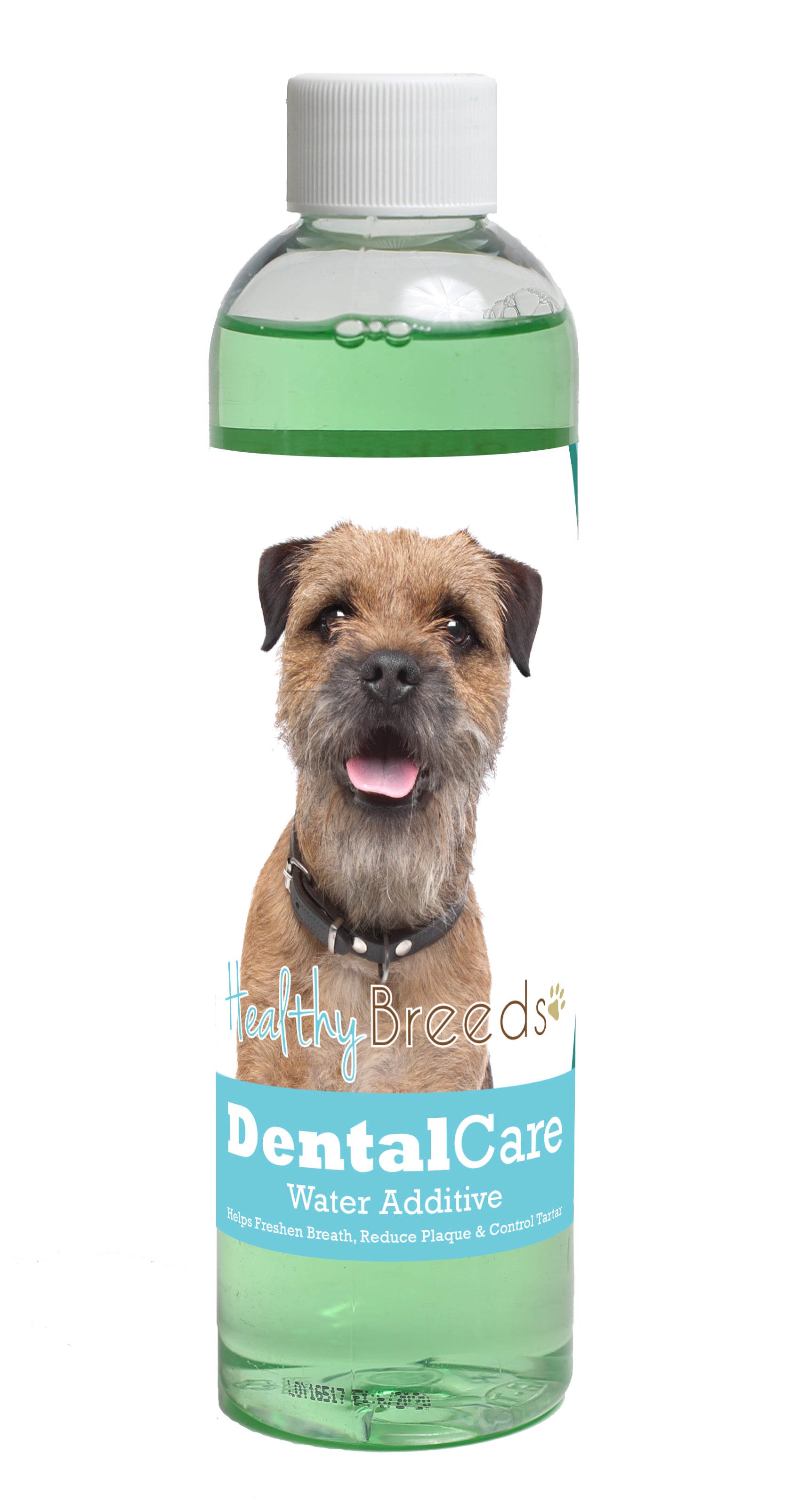 Border Terrier Dental Rinse for Dogs 8 oz