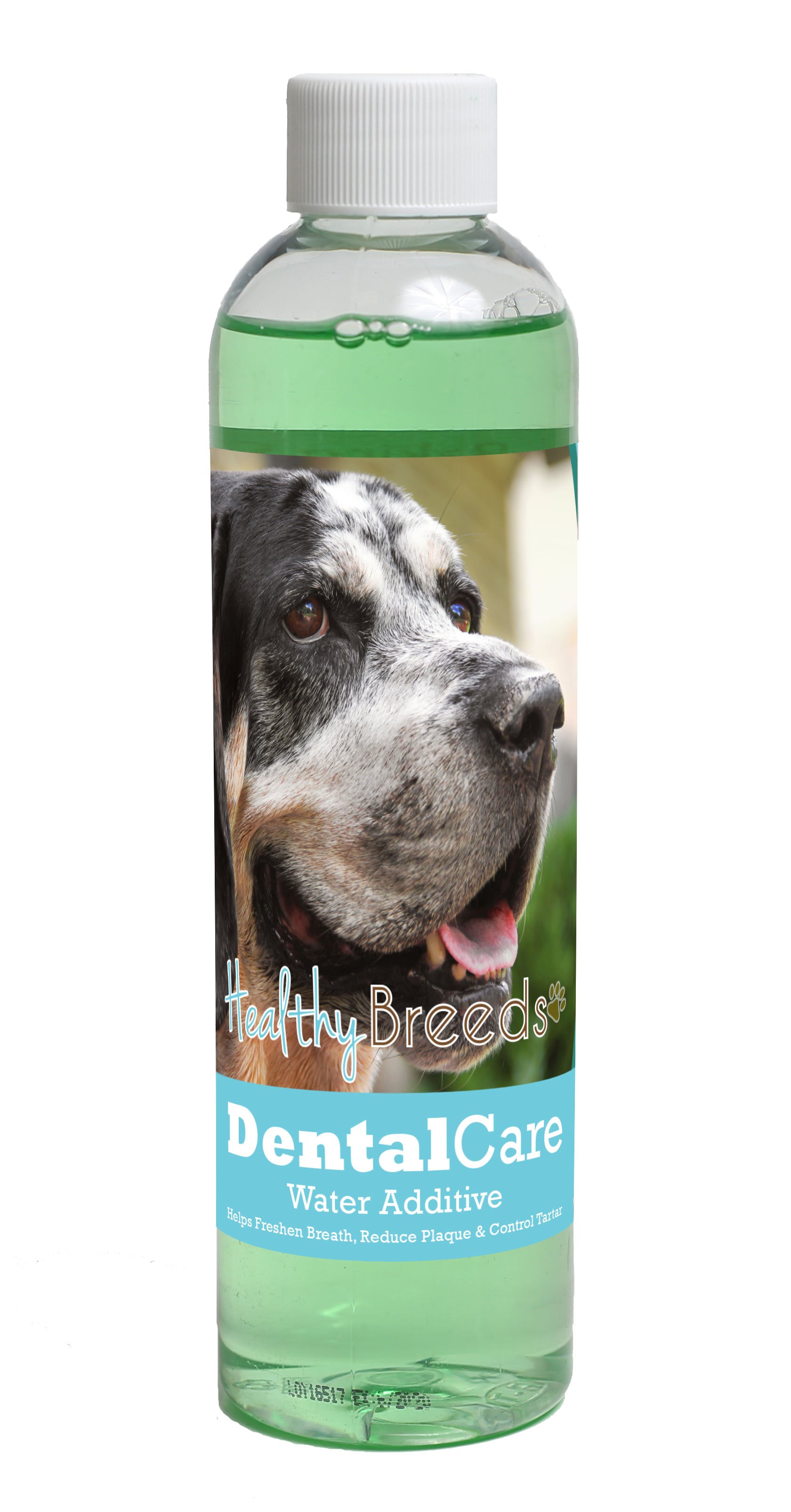 Bluetick Coonhound Dental Rinse for Dogs 8 oz