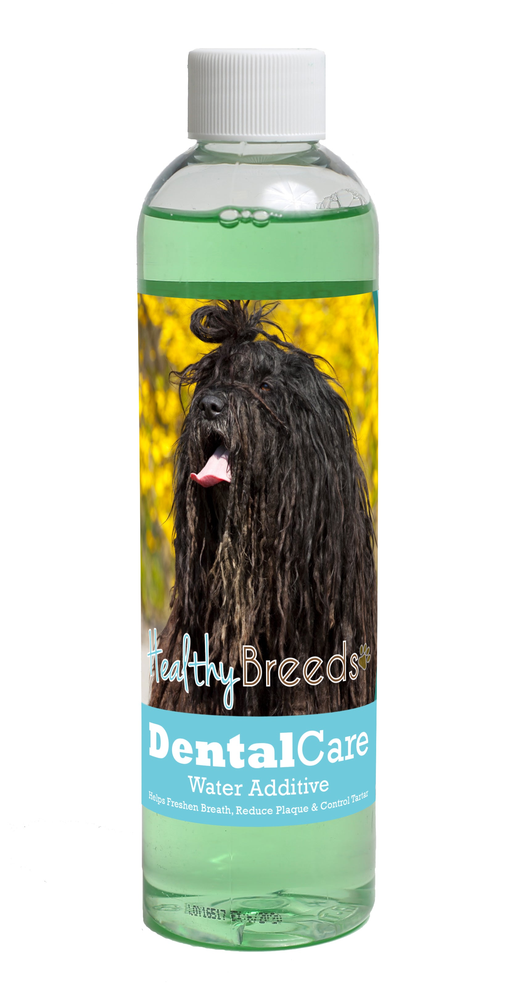 Bergamasco Dental Rinse for Dogs 8 oz