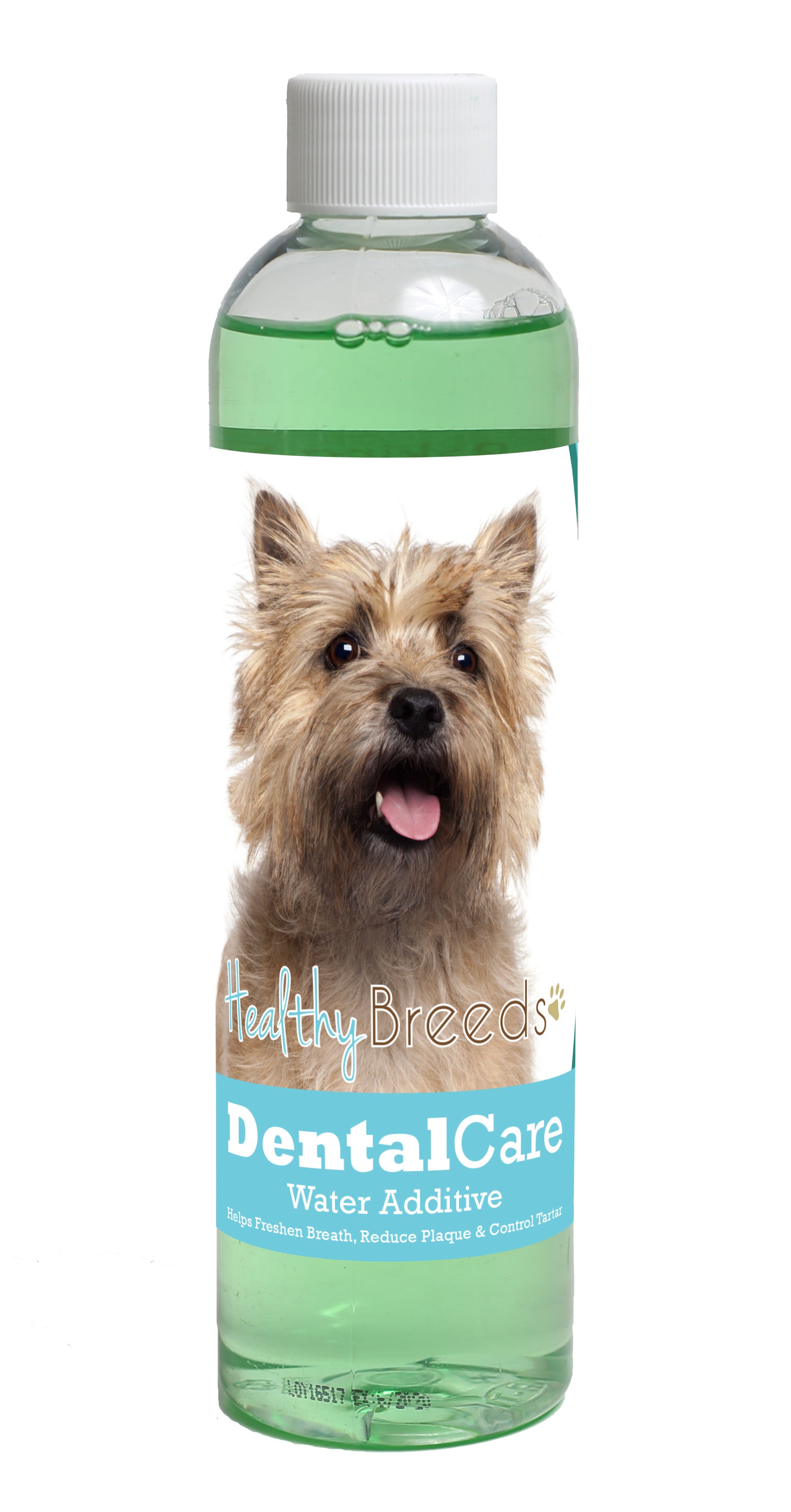 Cairn Terrier Dental Rinse for Dogs 8 oz