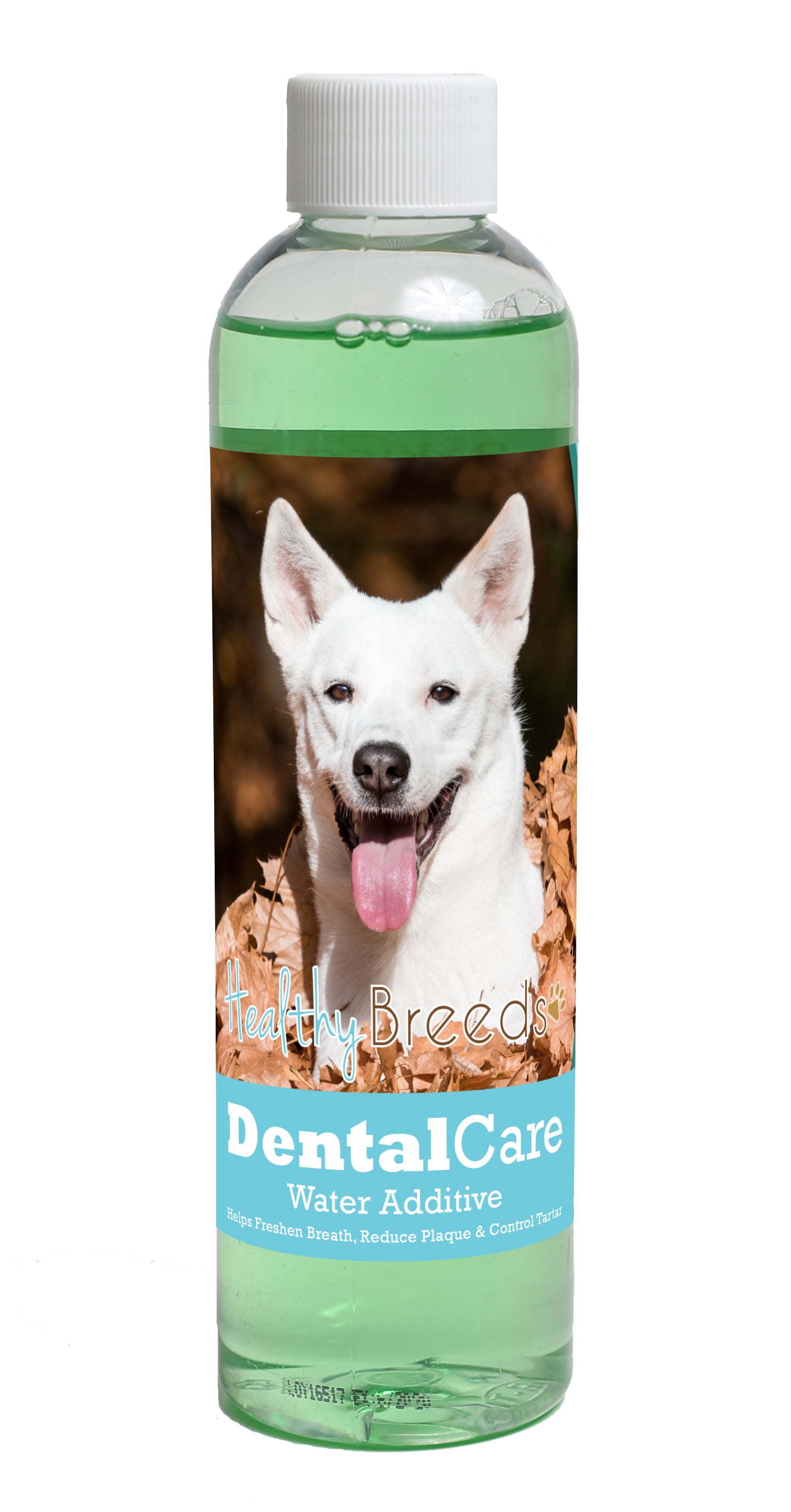 Canaan Dog Dental Rinse for Dogs 8 oz