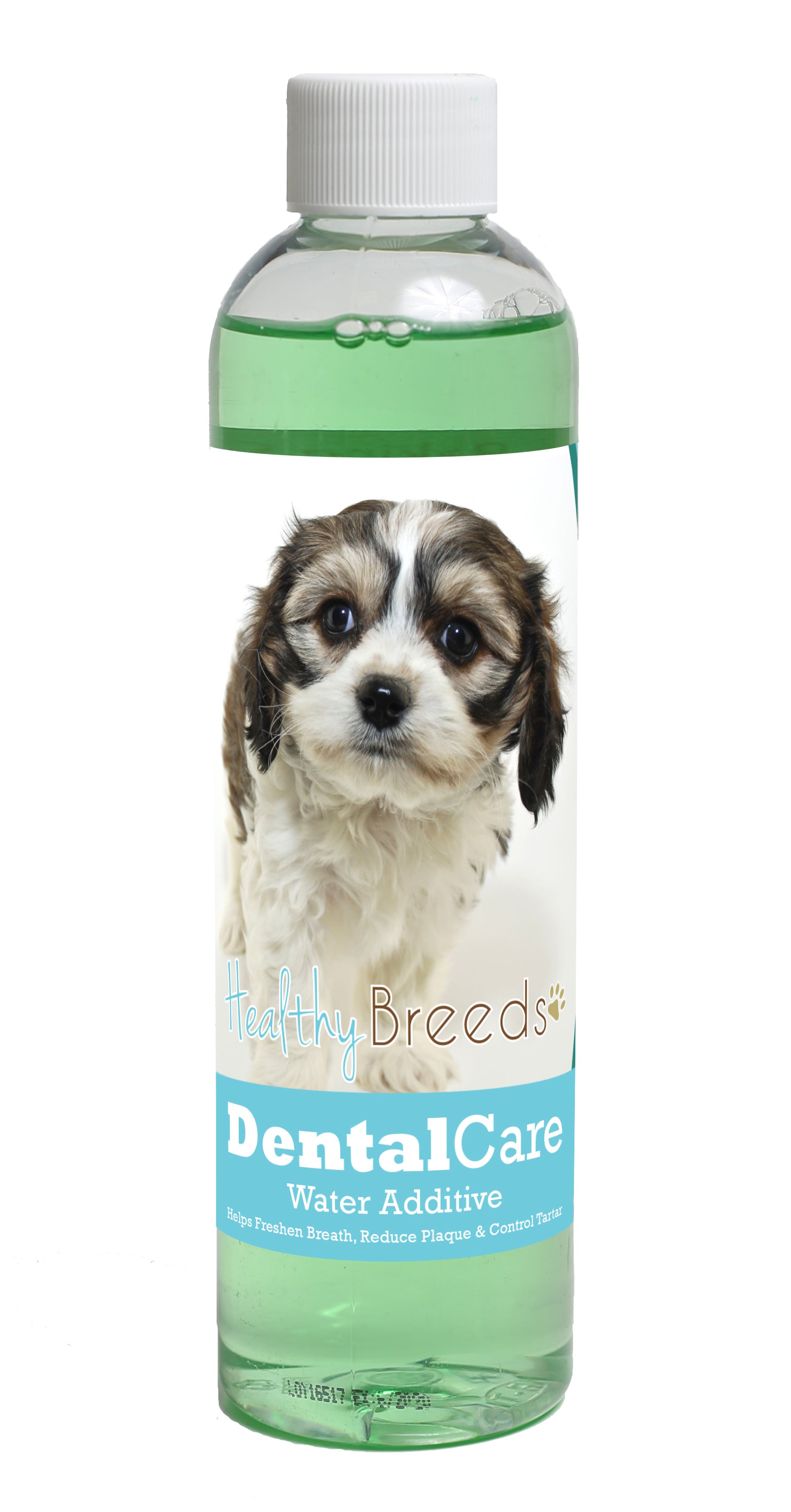 Cavachon Dental Rinse for Dogs 8 oz