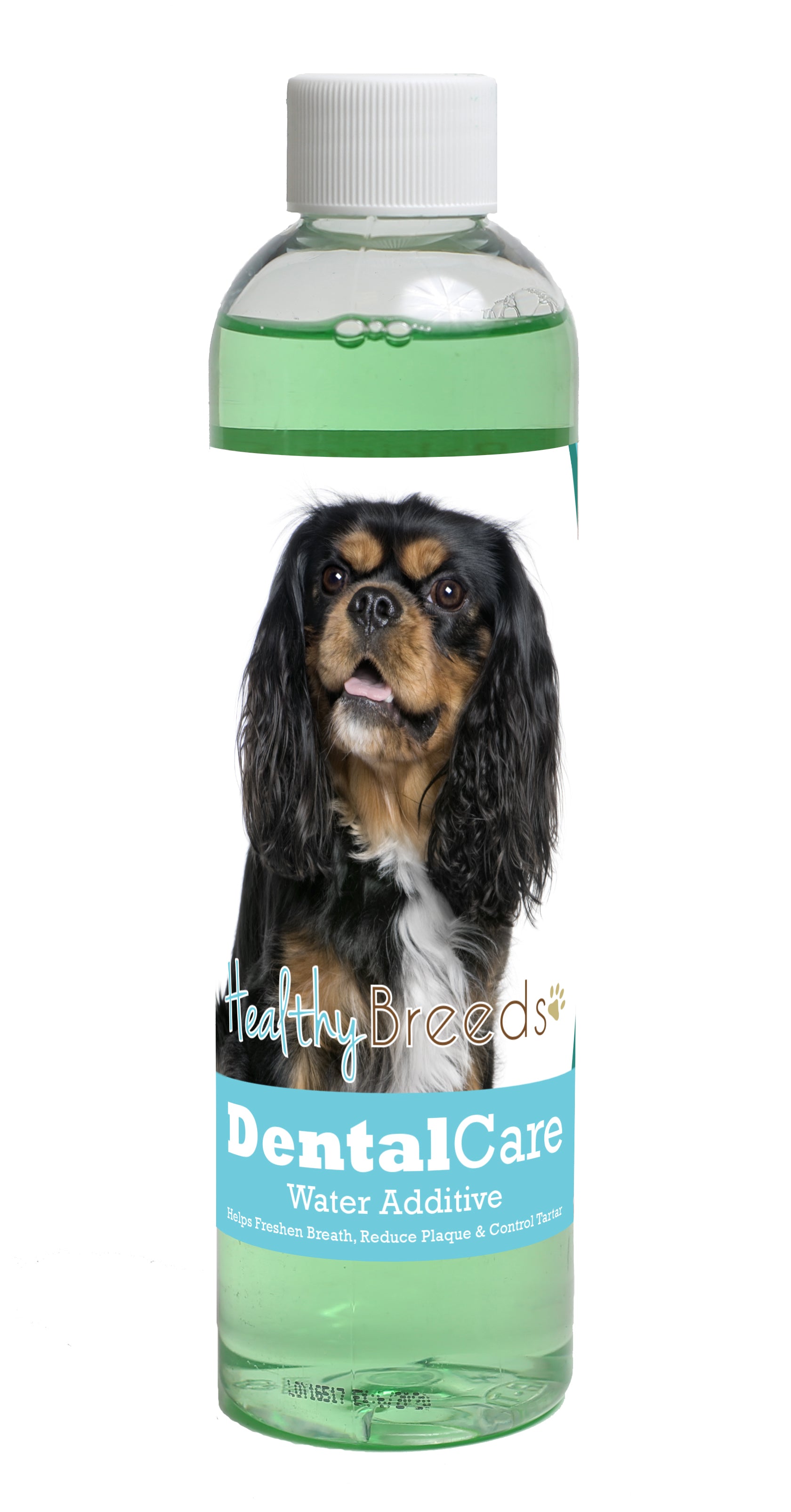 Cavalier King Charles Spaniel Dental Rinse for Dogs 8 oz