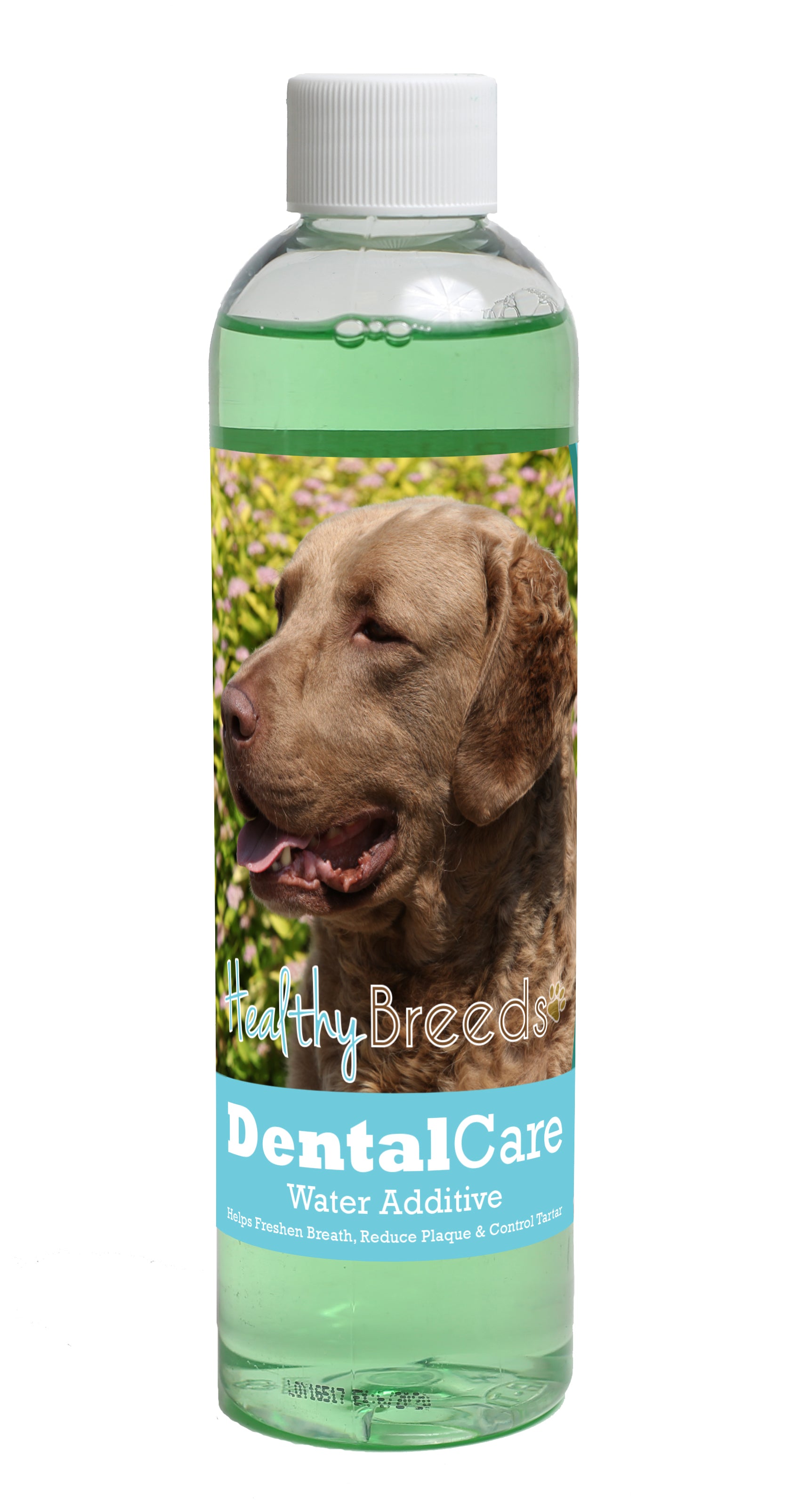 Chesapeake Bay Retriever Dental Rinse for Dogs 8 oz