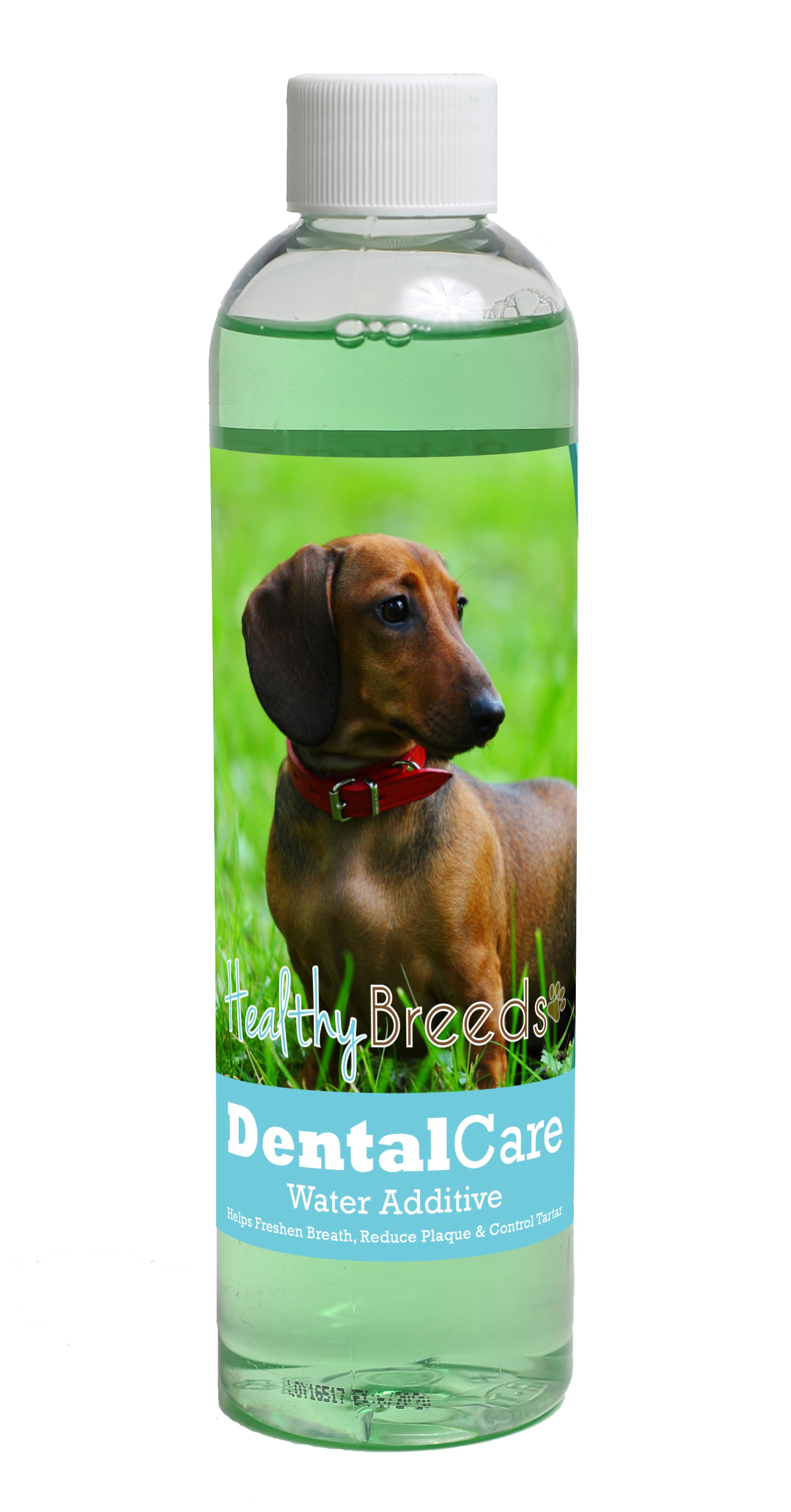 Dachshund Dental Rinse for Dogs 8 oz