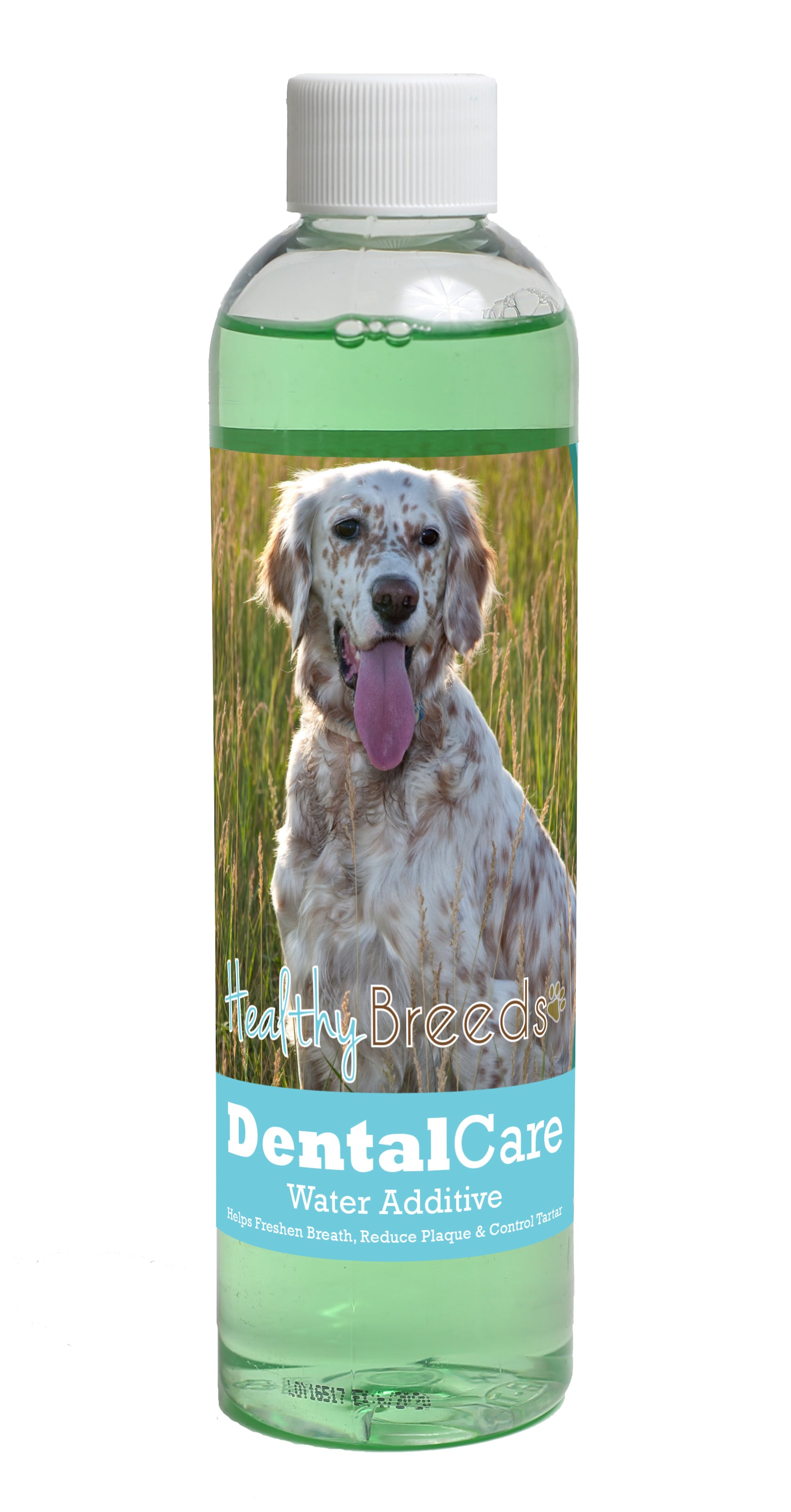 English Setter Dental Rinse for Dogs 8 oz