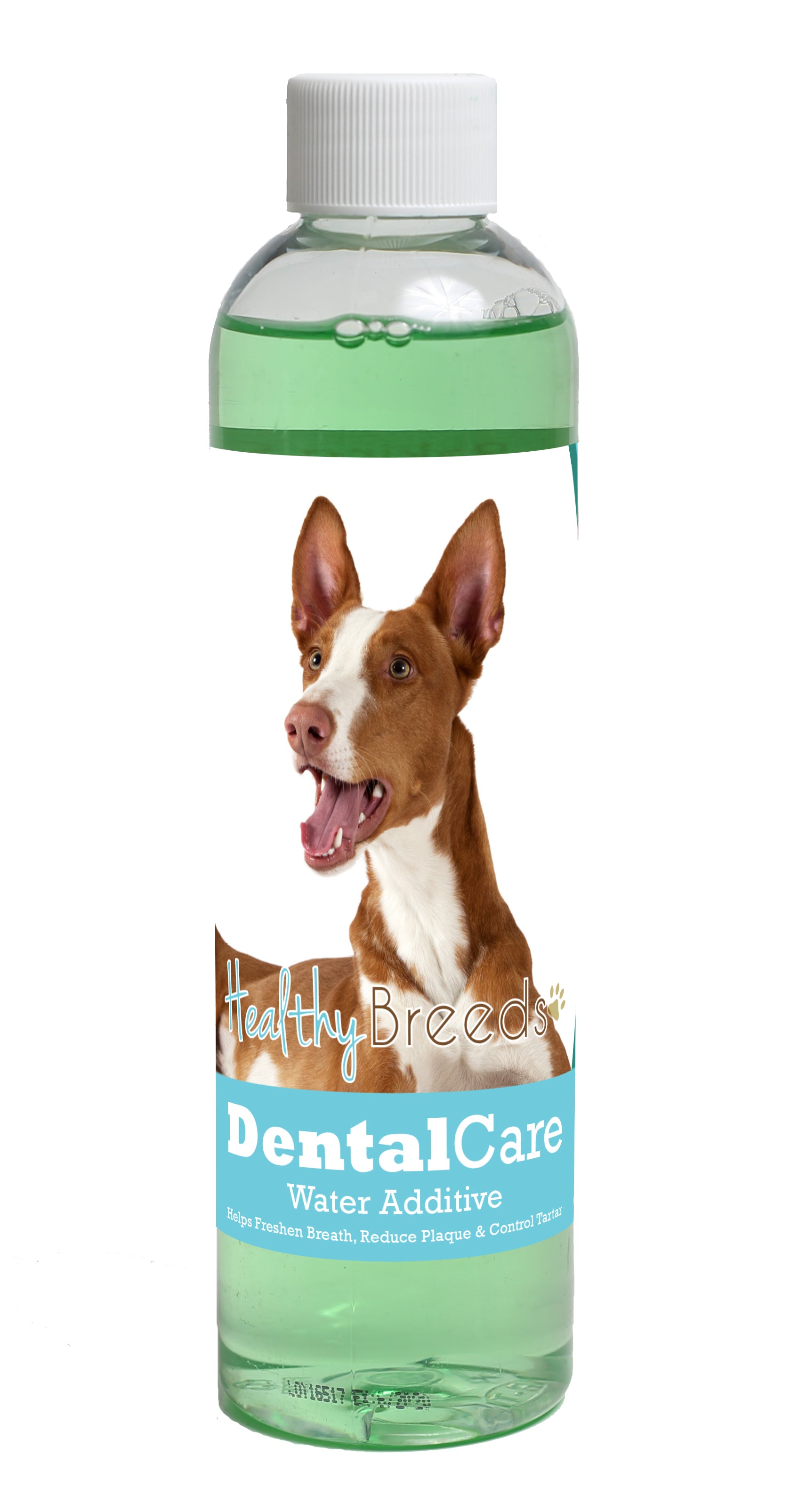 Ibizan Hound Dental Rinse for Dogs 8 oz