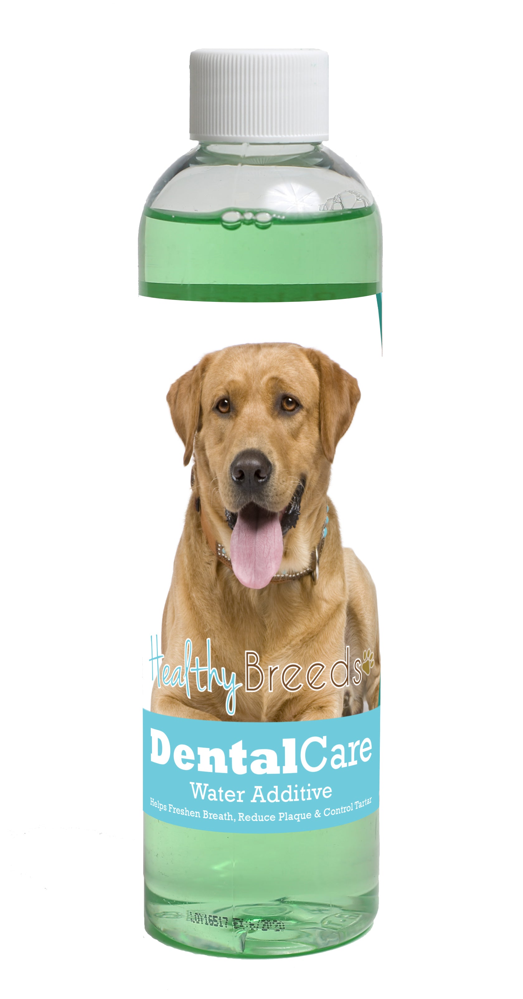 Labrador Retriever Dental Rinse for Dogs 8 oz