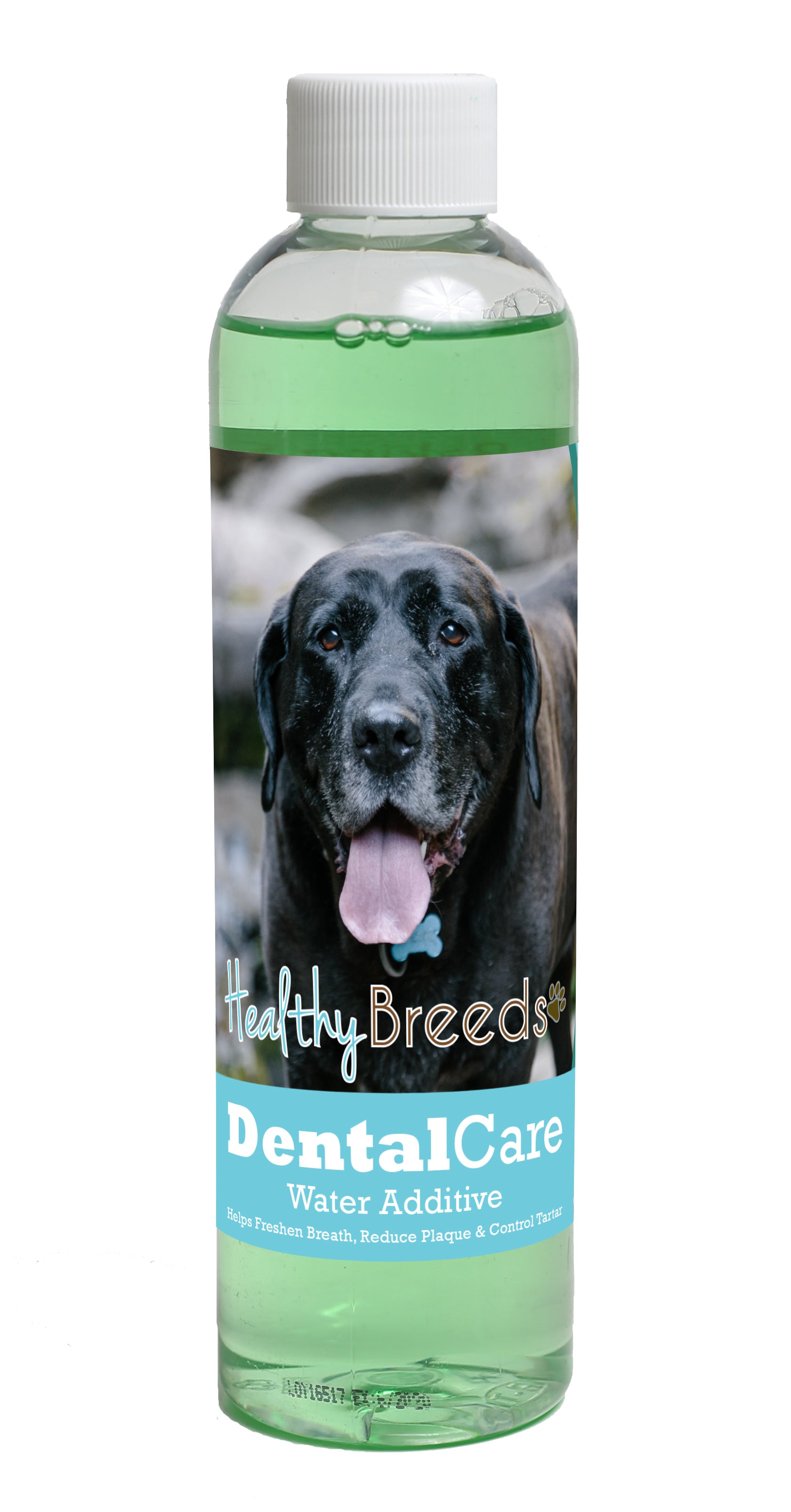 Mastador Dental Rinse for Dogs 8 oz