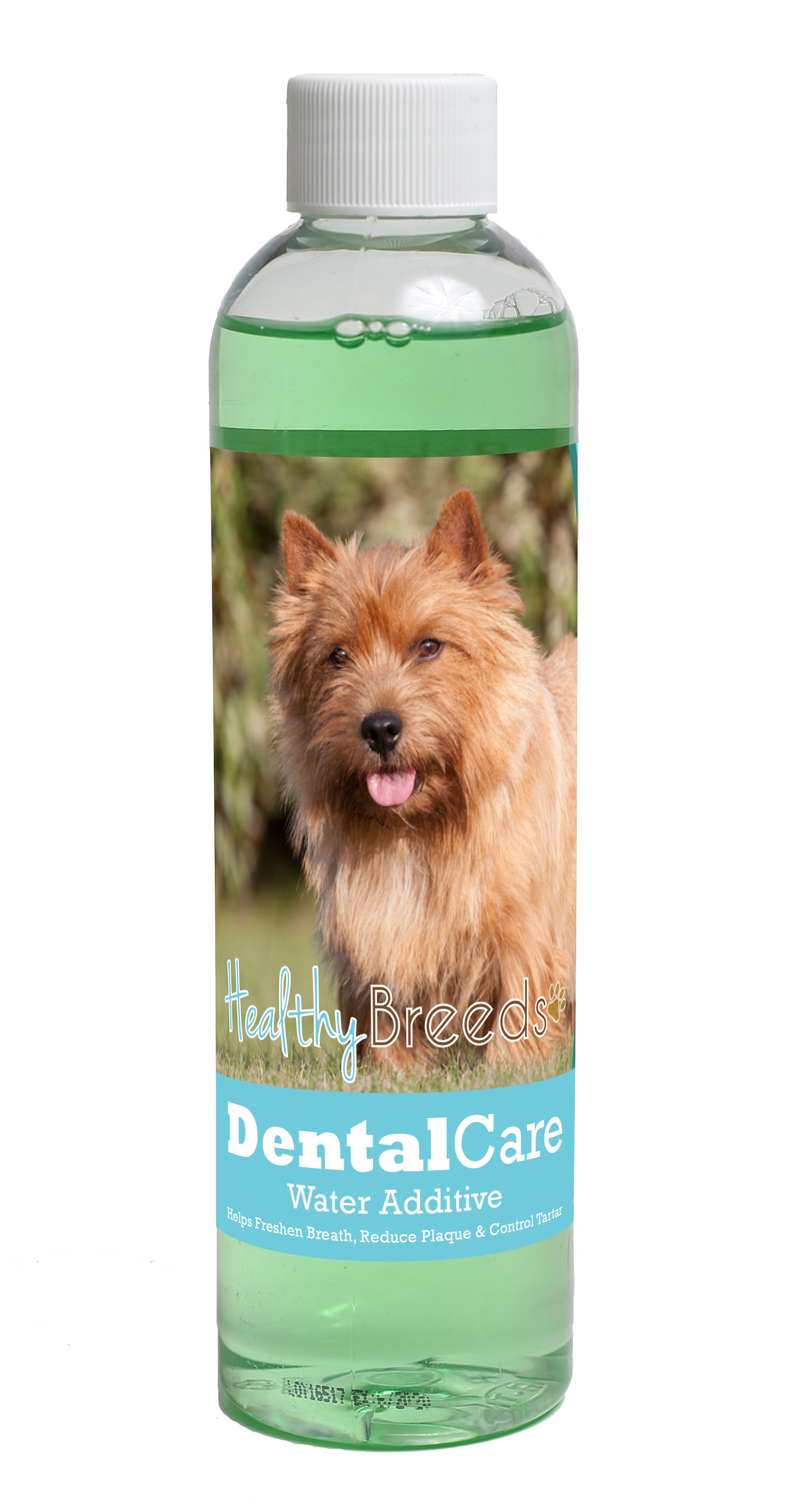 Norwich Terrier Dental Rinse for Dogs 8 oz