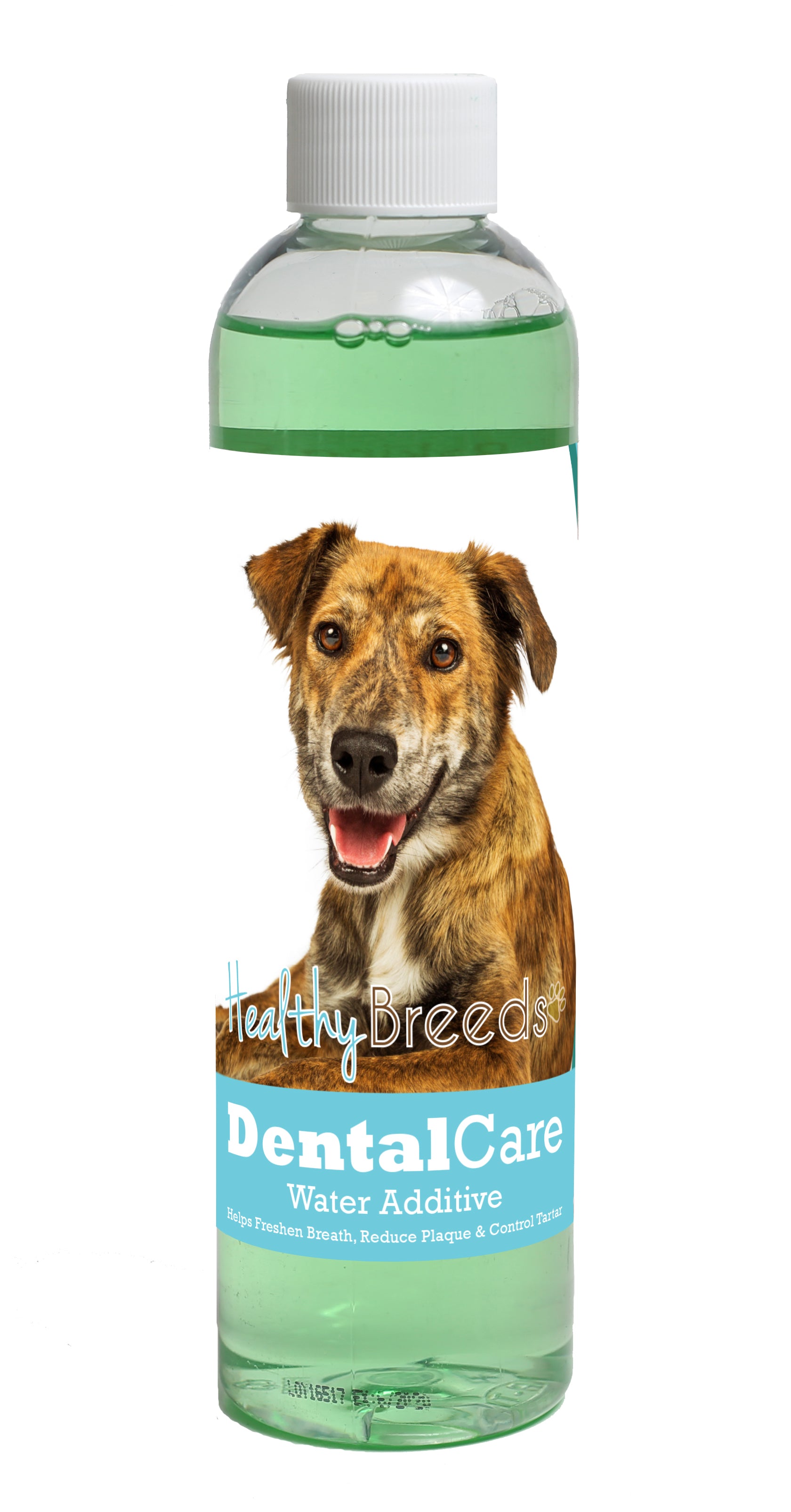Plott Dental Rinse for Dogs 8 oz