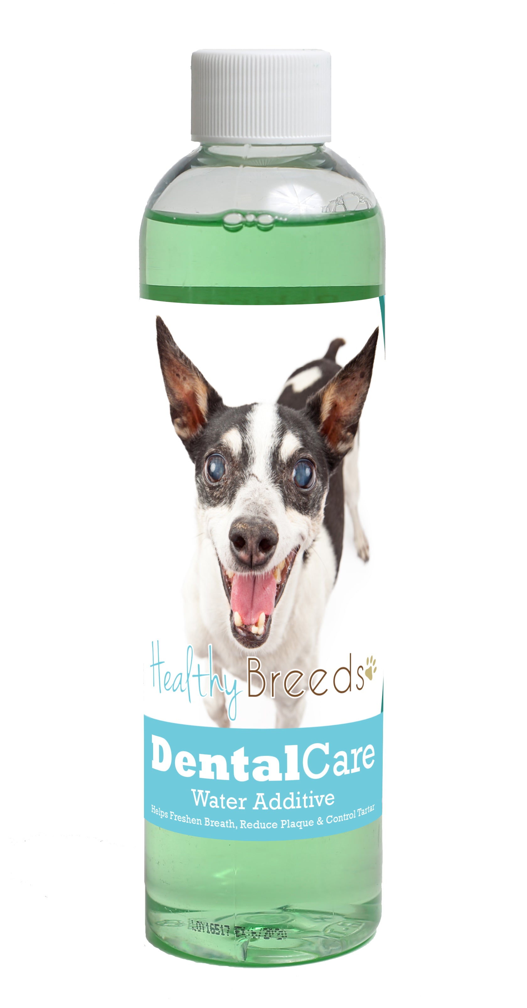 Rat Terrier Dental Rinse for Dogs 8 oz