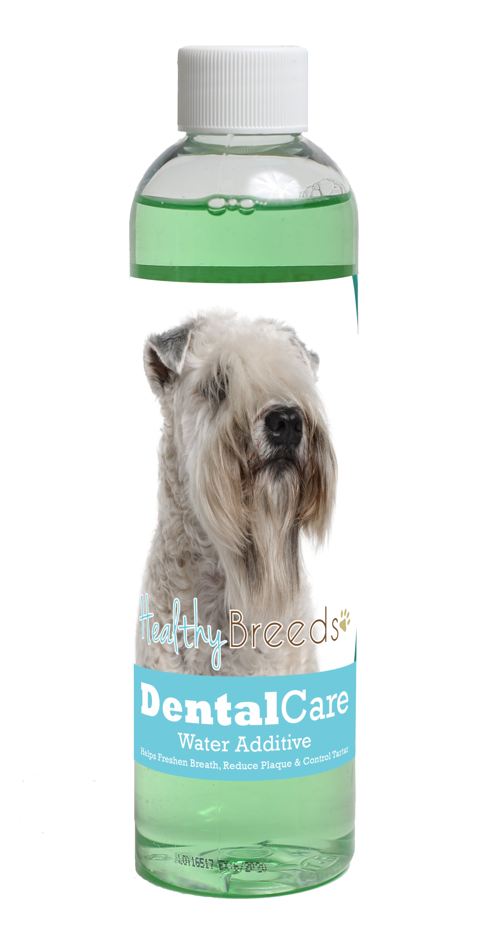 Soft Coated Wheaten Terrier Dental Rinse for Dogs 8 oz
