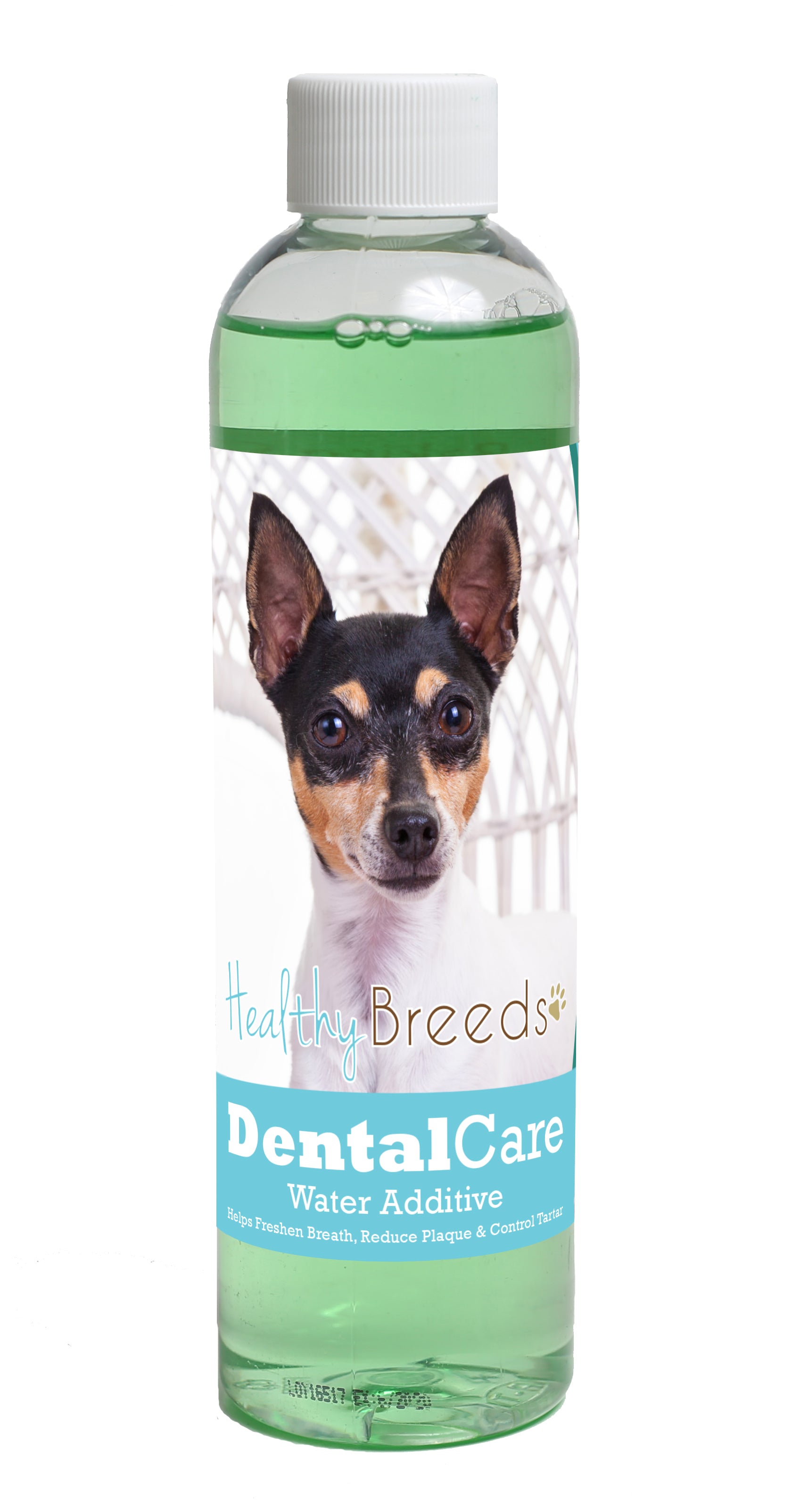 Toy Fox Terrier Dental Rinse for Dogs 8 oz