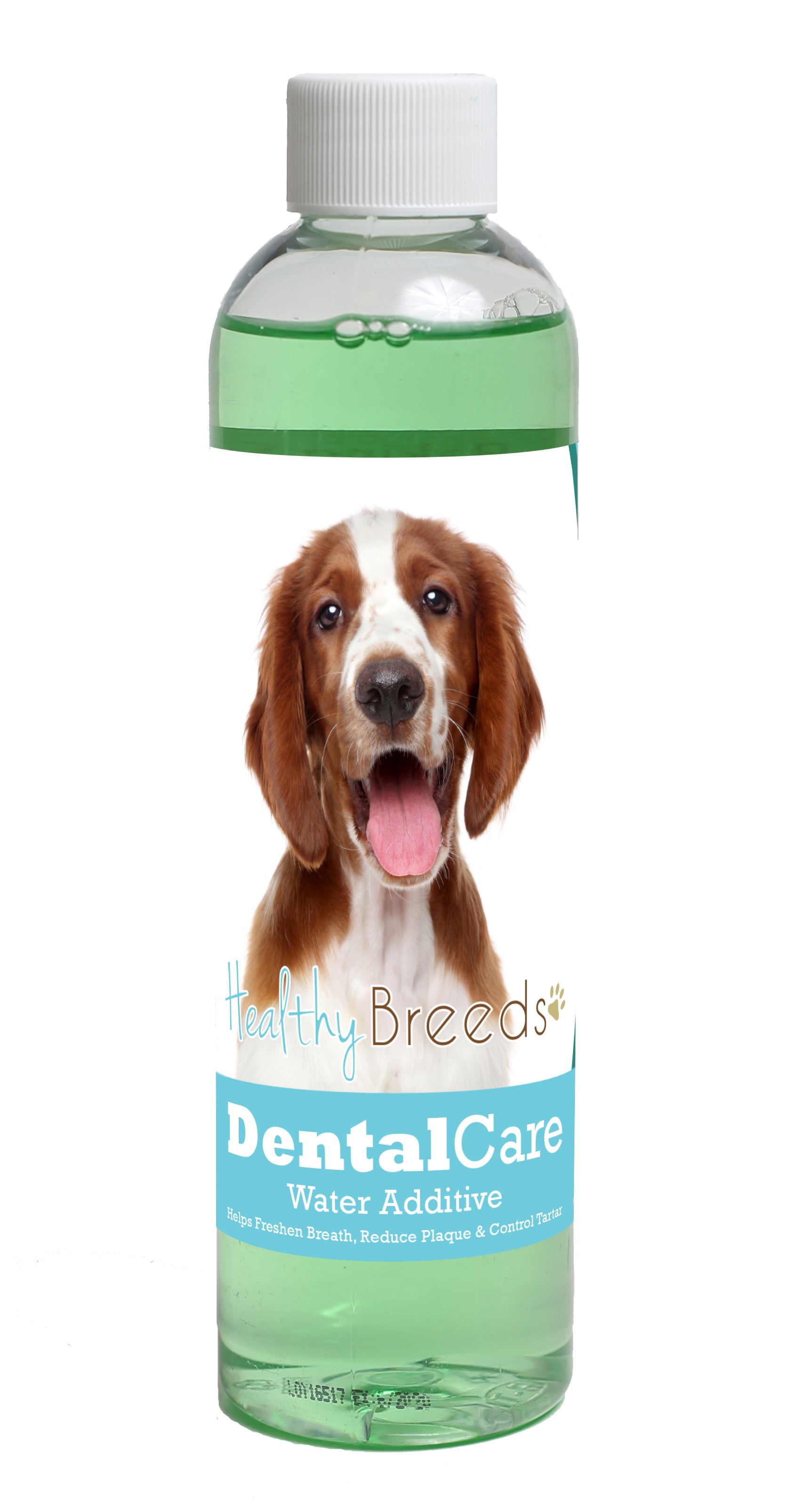 Welsh Springer Spaniel Dental Rinse for Dogs 8 oz