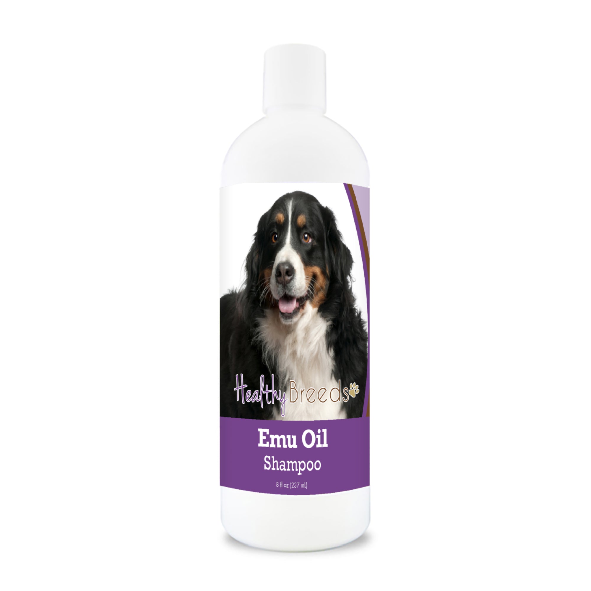Bernese Mountain Dog Emu Oil Shampoo 8 oz