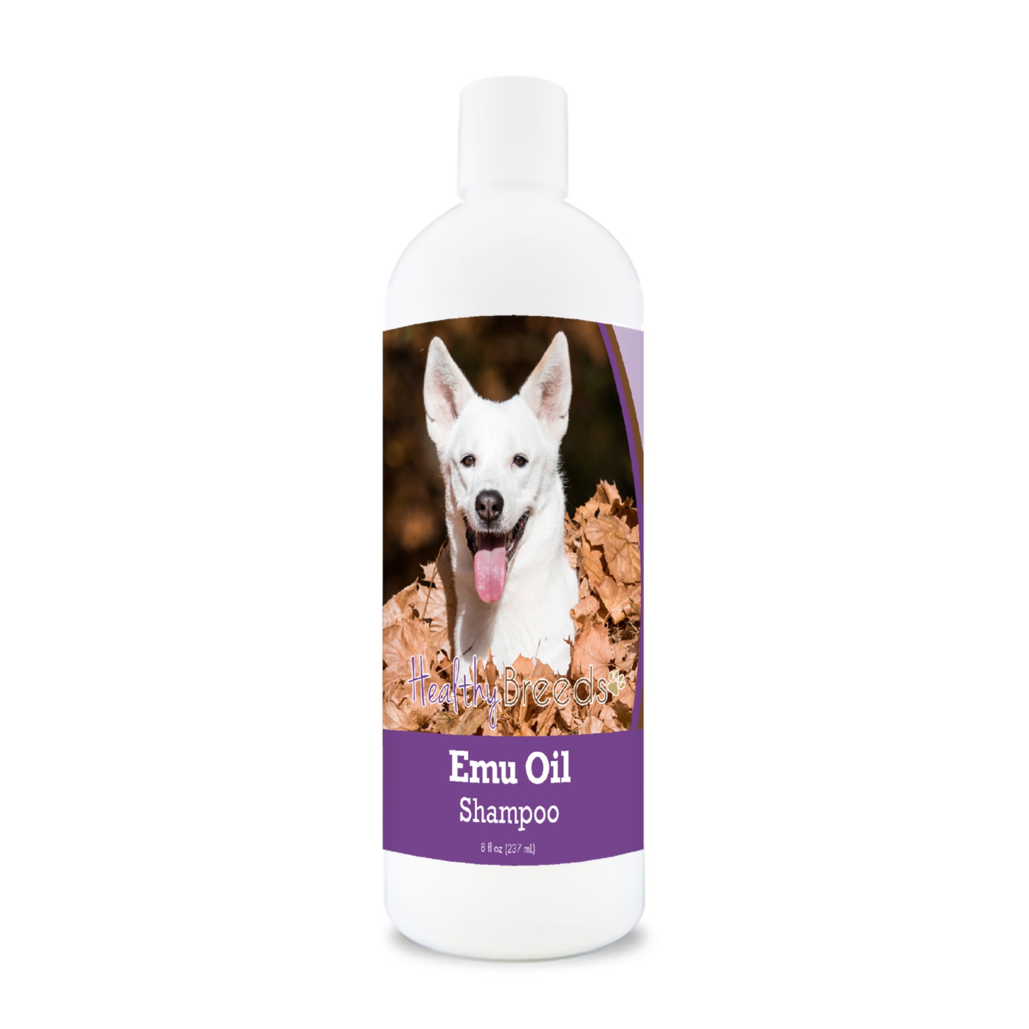 Canaan Dog Emu Oil Shampoo 8 oz