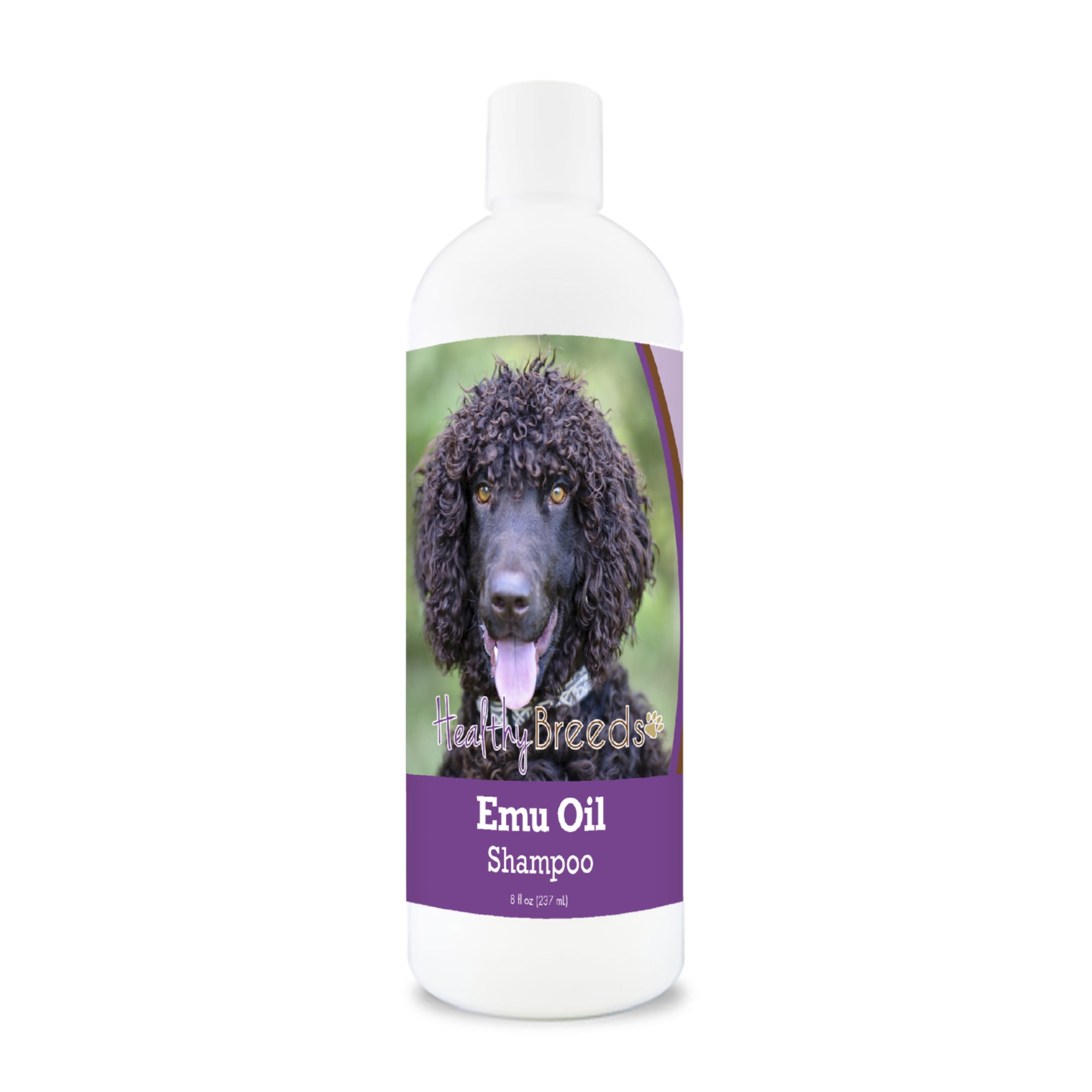 Irish Water Spaniel Emu Oil Shampoo 8 oz