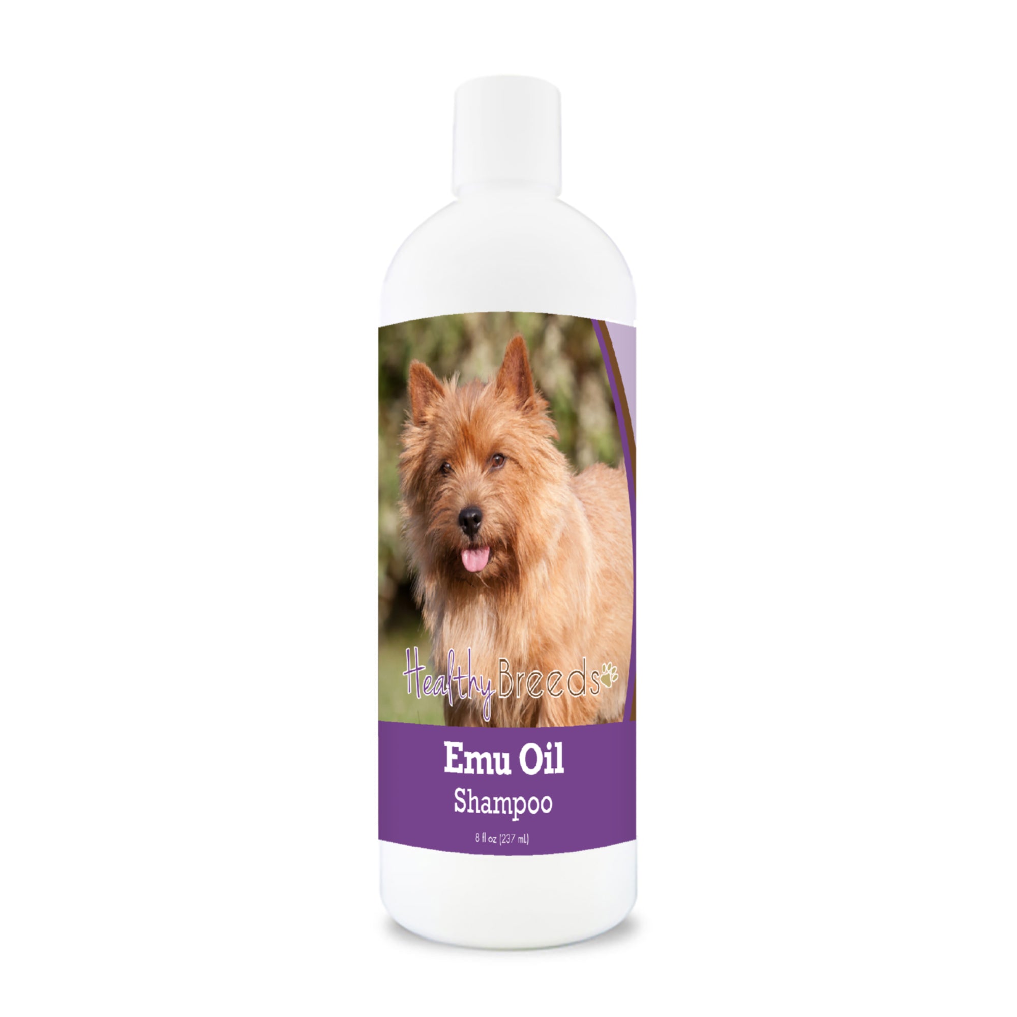 Norwich Terrier Emu Oil Shampoo 8 oz