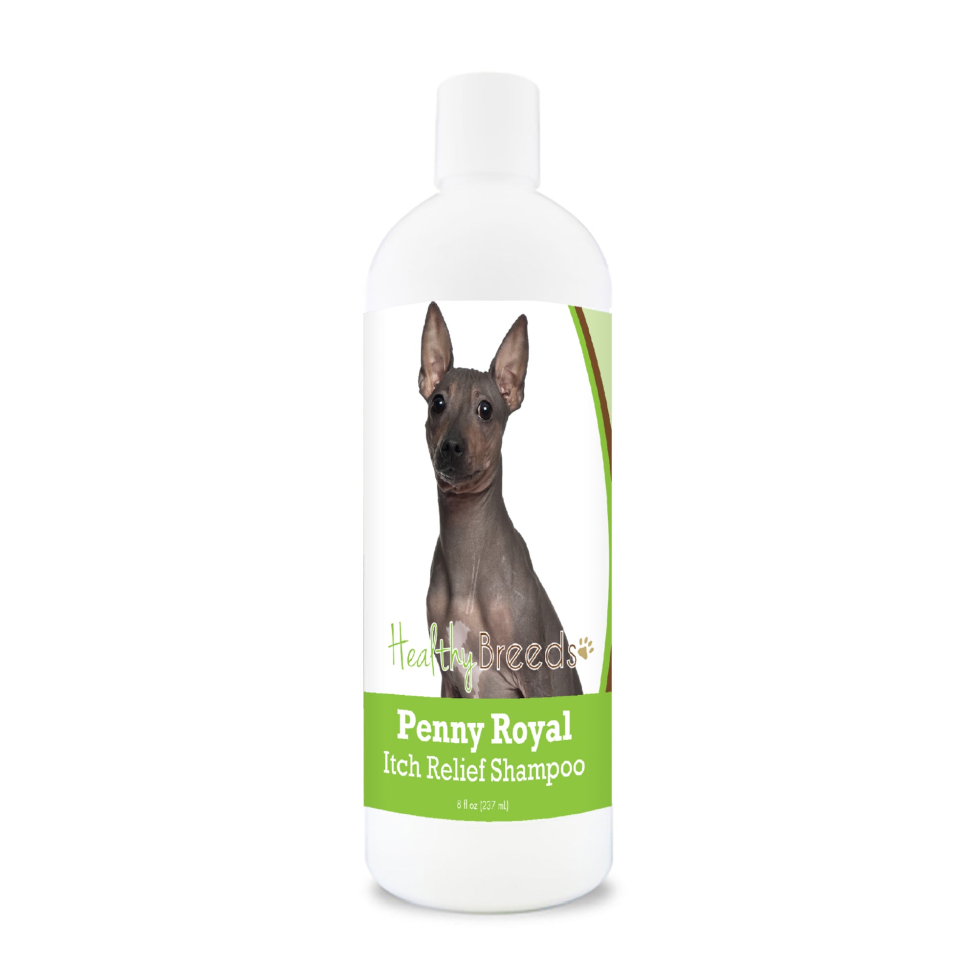 American Hairless Terrier Penny Royal Itch Relief Shampoo 8 oz